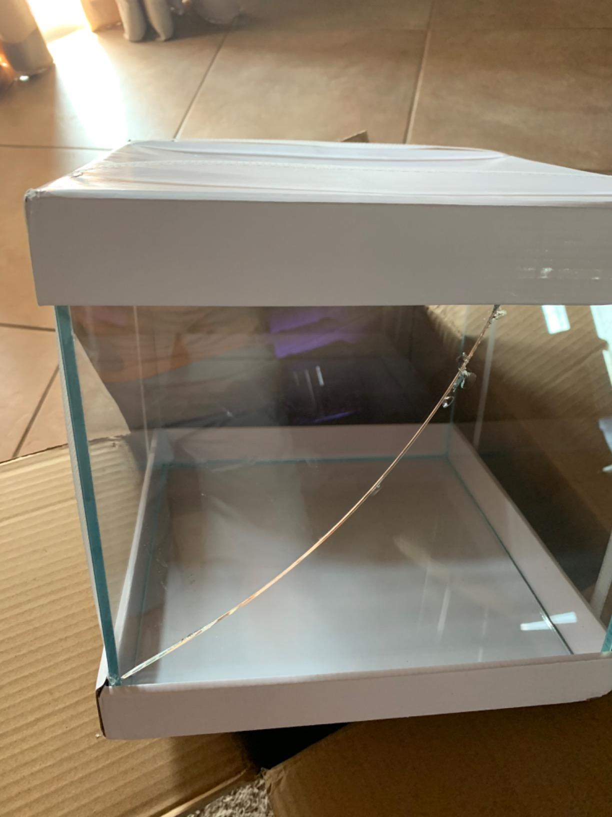 Rimless Low-Iron Glass Aquarium, 7.1 Gal, 11.8 × 11.8 × 11.8 in customer photo 2