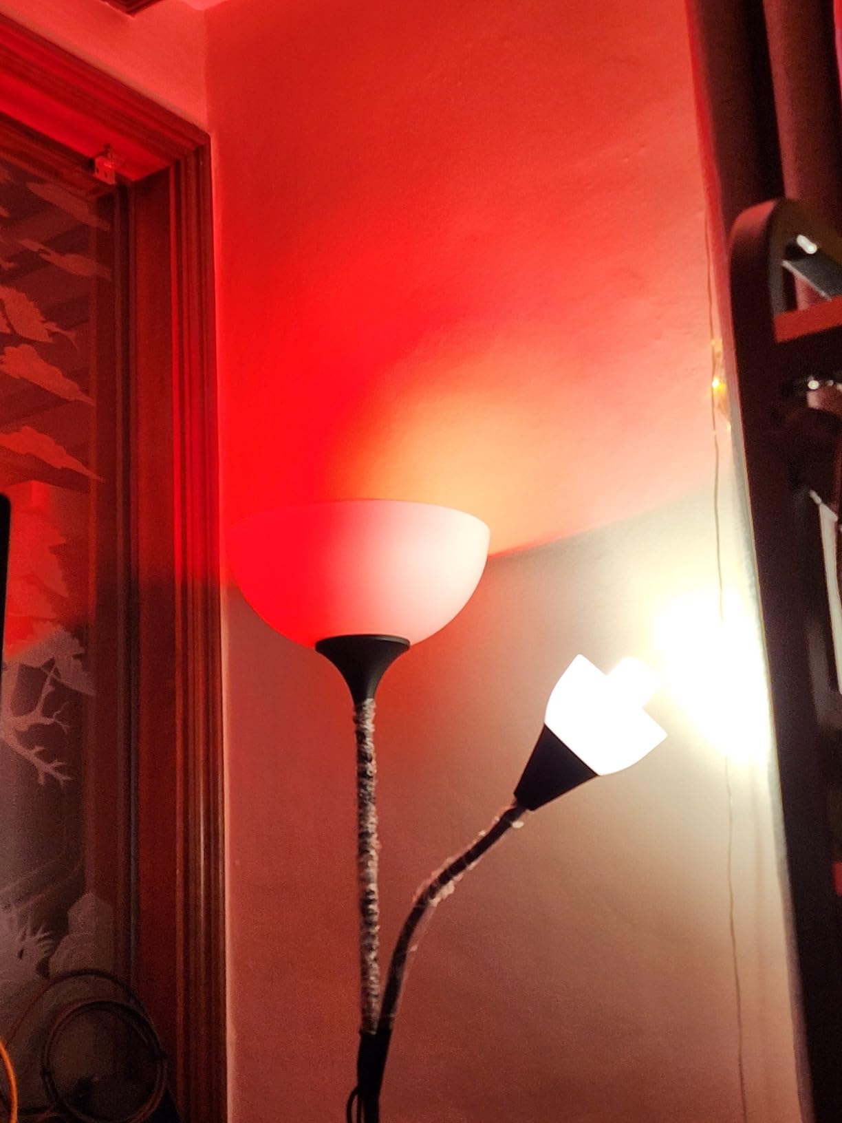 LIFX Color 2-Pack customer photo 2