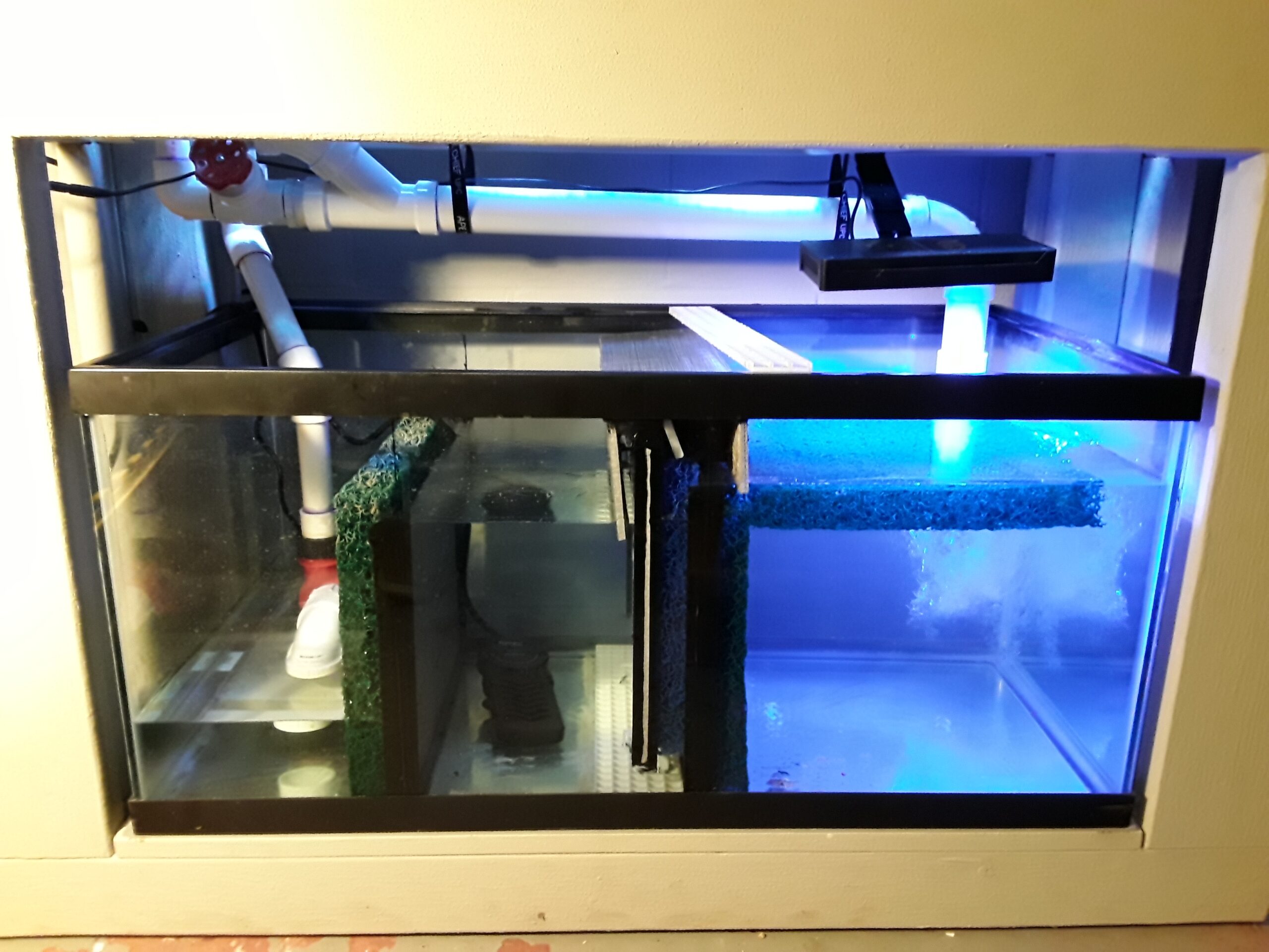 B08FCX437V customer photo 2
