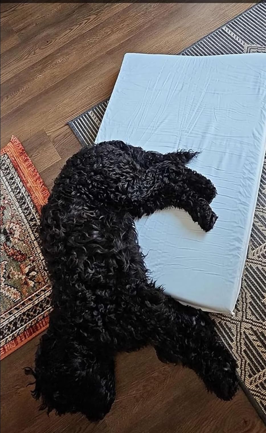Orthopedic Memory Foam Dog Bed, Cooling Dog Beds for Extra Large Dogs -Waterproof Pet Bed for Crate with Removable Washable Cover, Ideal for Arthritic Dogs, XL(41inch,90Lbs) customer photo 1