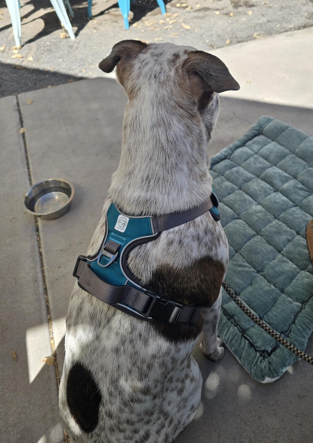 Embark No Pull Dog Harness, Reflective Adjustable Training Vest, No Choke customer photo 1