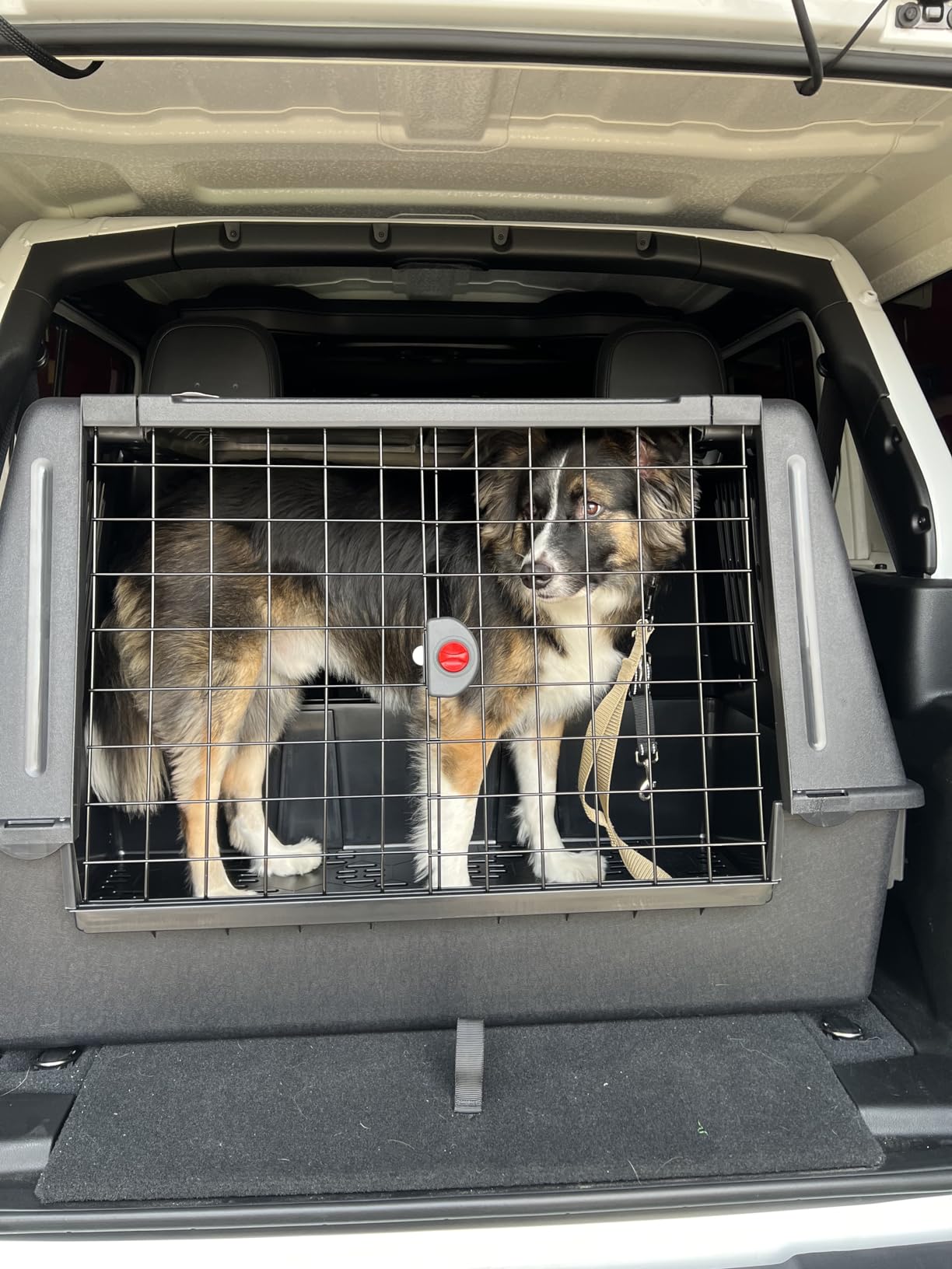 Ferplast Atlas Vehicle SUV Dog Crate, Assembled Car Dog Crate Measures 39L x 23W x 26H, Ideal for Medium to Intermediate Dog Breeds, Black customer photo 1