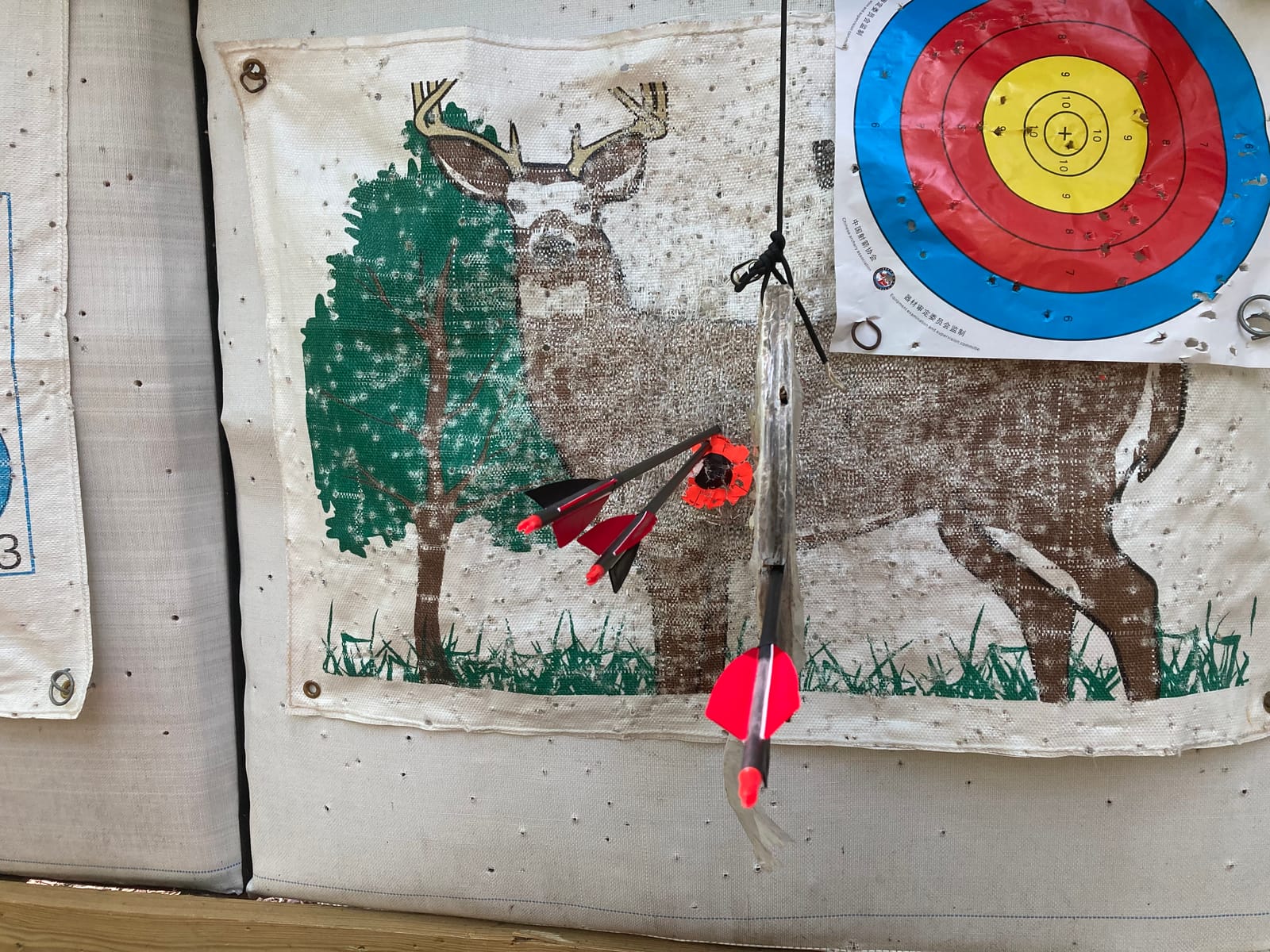 Archery Takedown Longbow 60inch 20lbs-60lbs Right Hand Long Bow customer photo 1