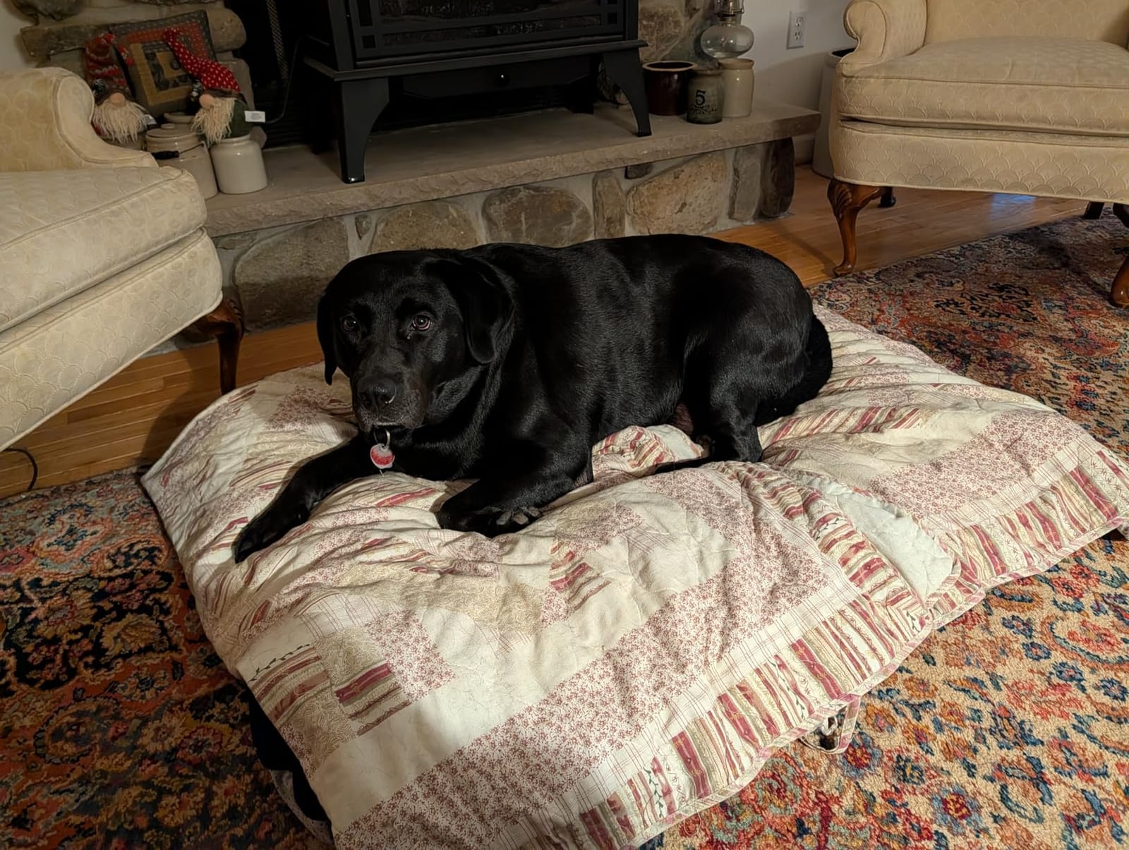Magic Dog Orthopedic Extra Large Dog Bed 47 Inch, Super Soft XL Pet Bed customer photo 1