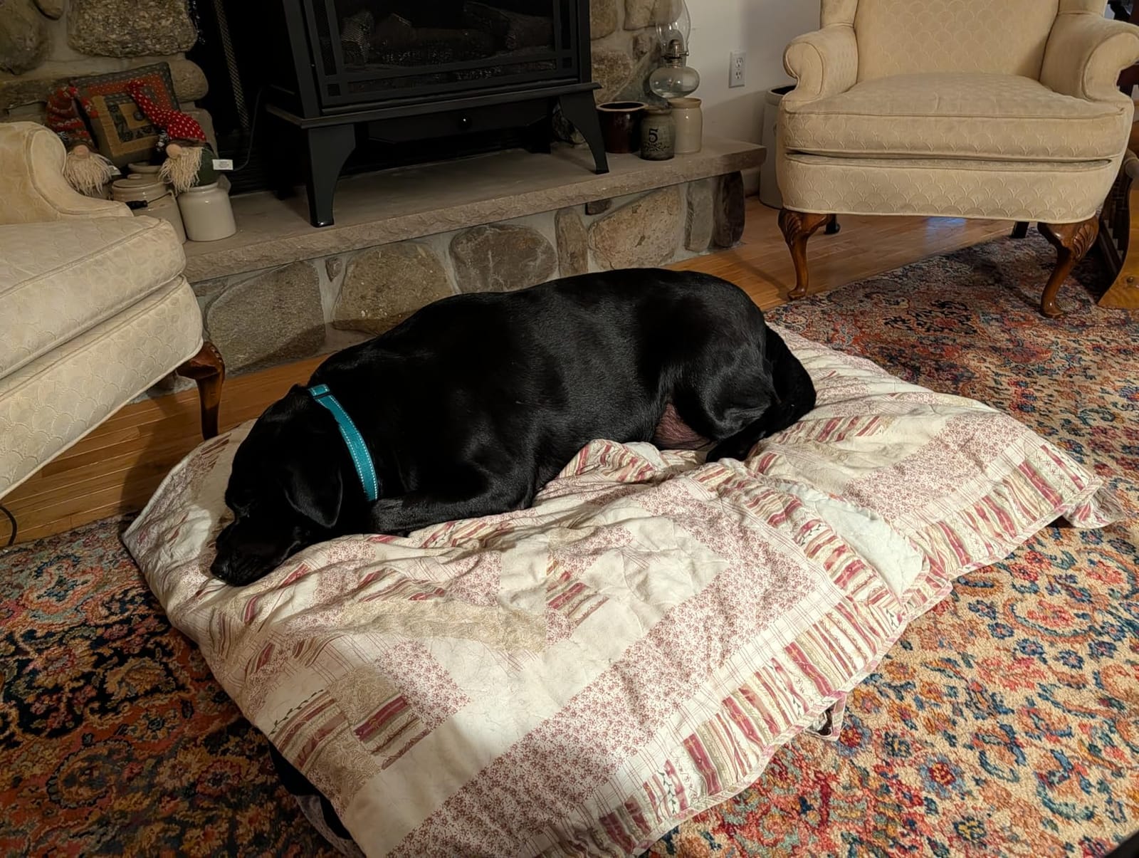 Magic Dog Orthopedic Extra Large Dog Bed 47 Inch, Super Soft XL Pet Bed customer photo 2