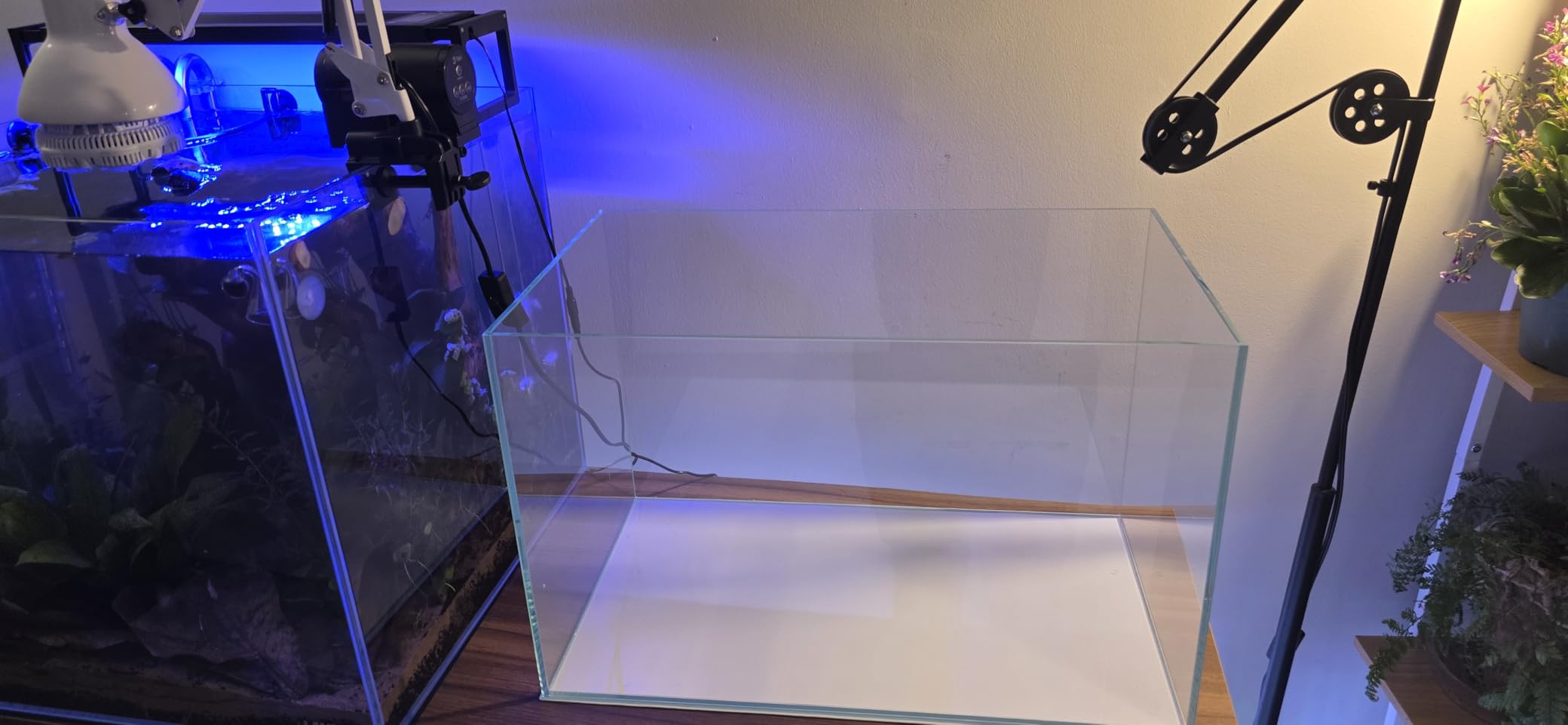 Low Iron Glass Ultra Clear Rimless Aquarium Tank,Classic Silhouette (21Gal) customer photo 1