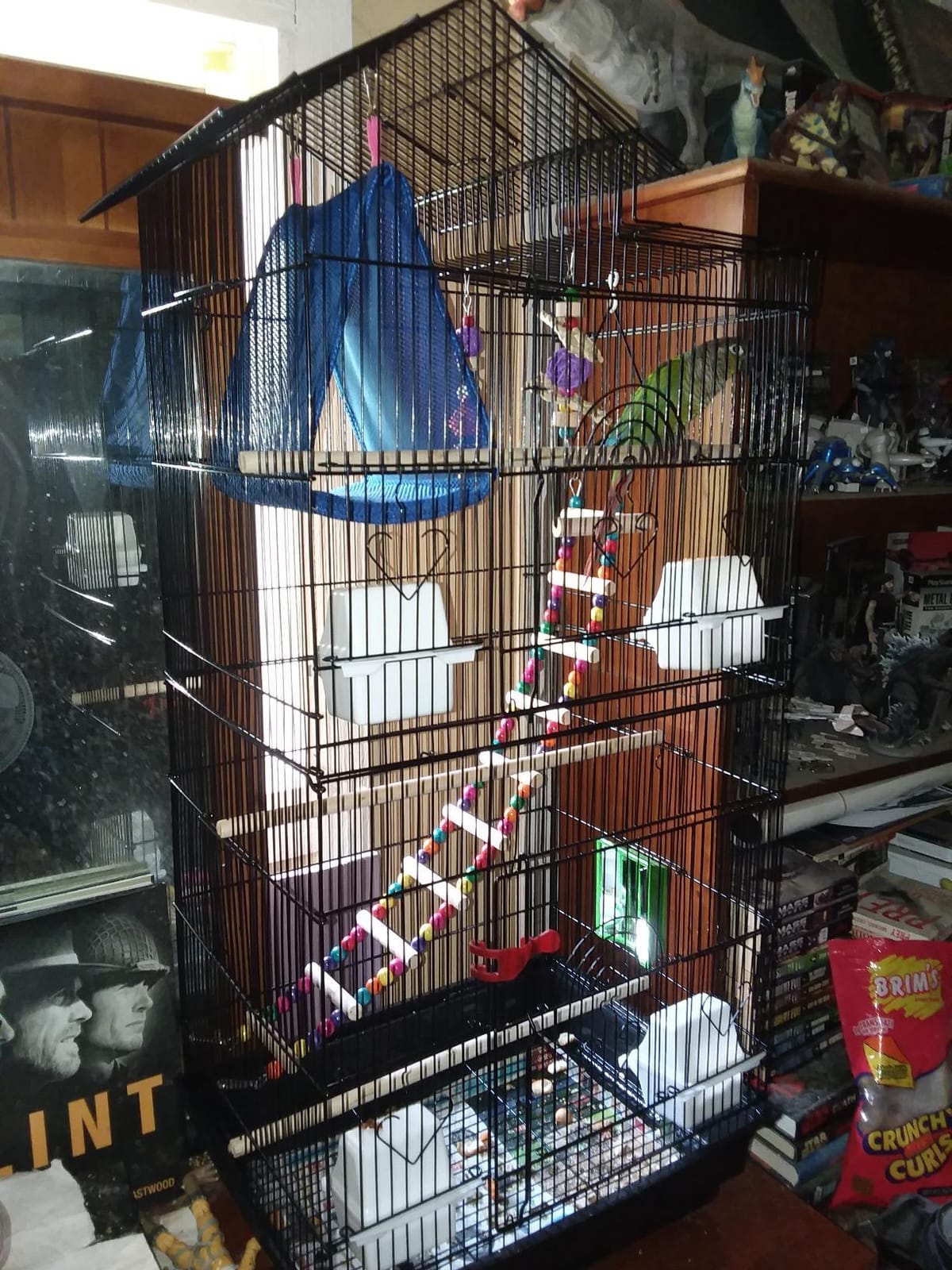 Yaheetech 39-inch Roof Top Medium Parakeet Bird Cages for Cockatiels Conures Finches Budgies Canaries Lovebirds Parakeets Green Cheek Small Birds Parrots, Travel Flight Birdcage w/Toys, White customer photo 1