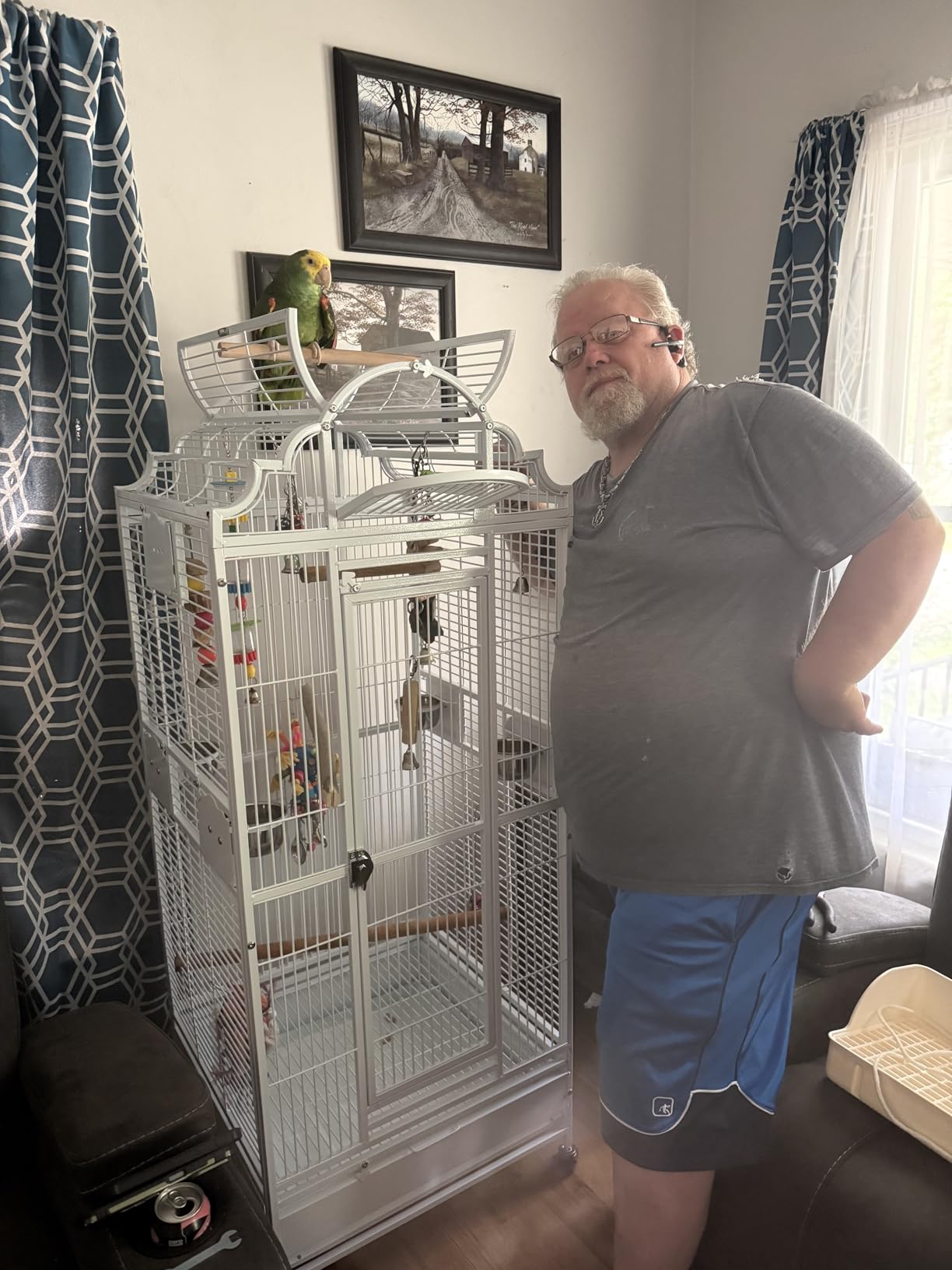 Large Elegance and Durable Wrought Iron Open Play Top Stand Bird Parrot Rolling Cage, Include Metal Seed Guard Solid Metal Feeder Nest Door customer photo 1