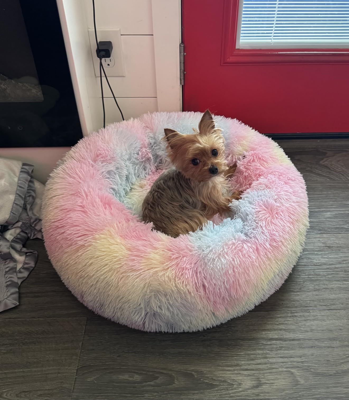 WNPETHOME Small Pink Round Calming Dog Bed Cat Bed for Comfy Sleep customer photo 1