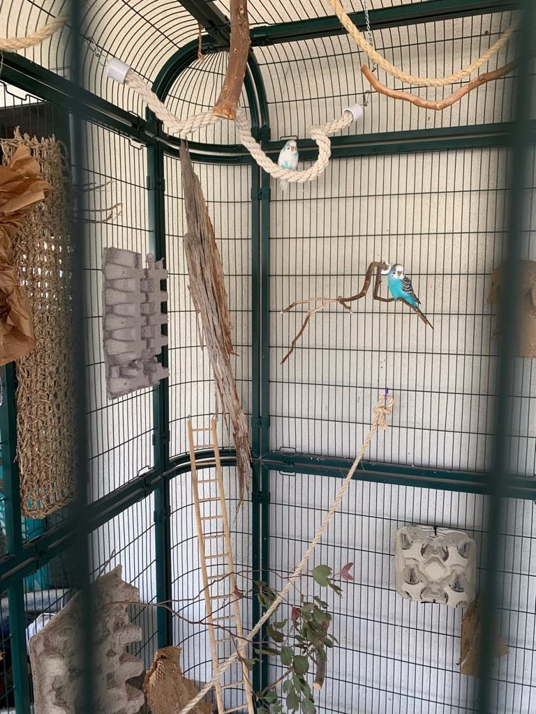 wonline Parrot Cages for Large Birds Outdoor Extra Large Bird Cage with Bird Cage and Perch, Suitable for Macaws Canaries Parrots Budgie Lovebirds customer photo 2