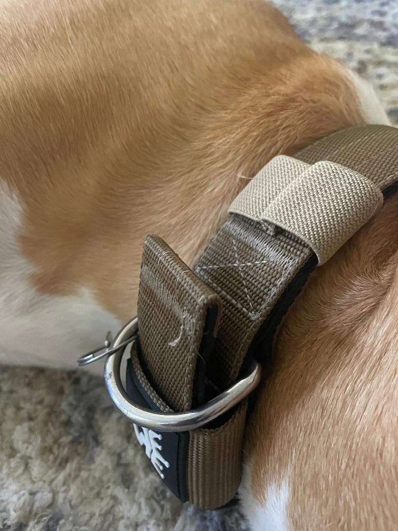 TSPRO Heavy Duty Thick Dog Collar with Metal Buckle for Large Dogs customer photo 1