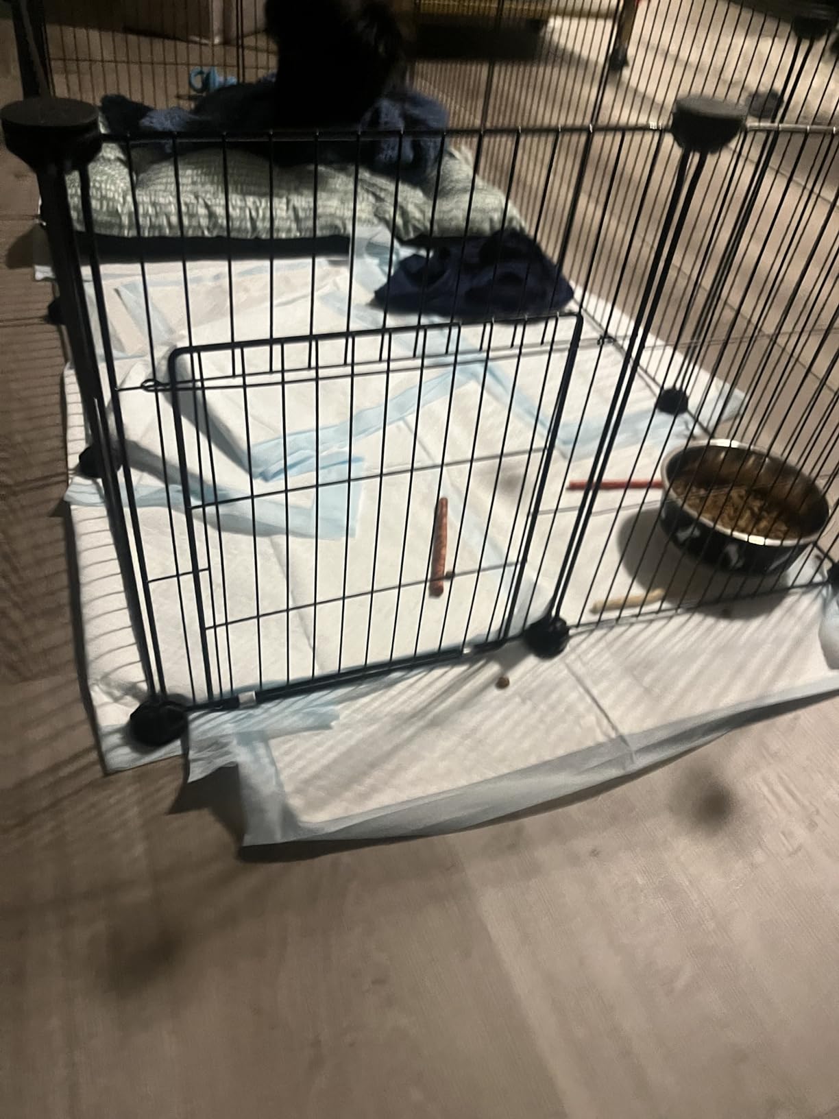 LANGXUN DIY Small Animal Playpen, Pet Playpen with Door and Waterproof Mat, Rabbit Guinea Pig Cages, Puppy Kitten Playpen | Indoor & Outdoor Portable Metal Wire Yard Fence, 12pcs Metal Pet Panels customer photo 1