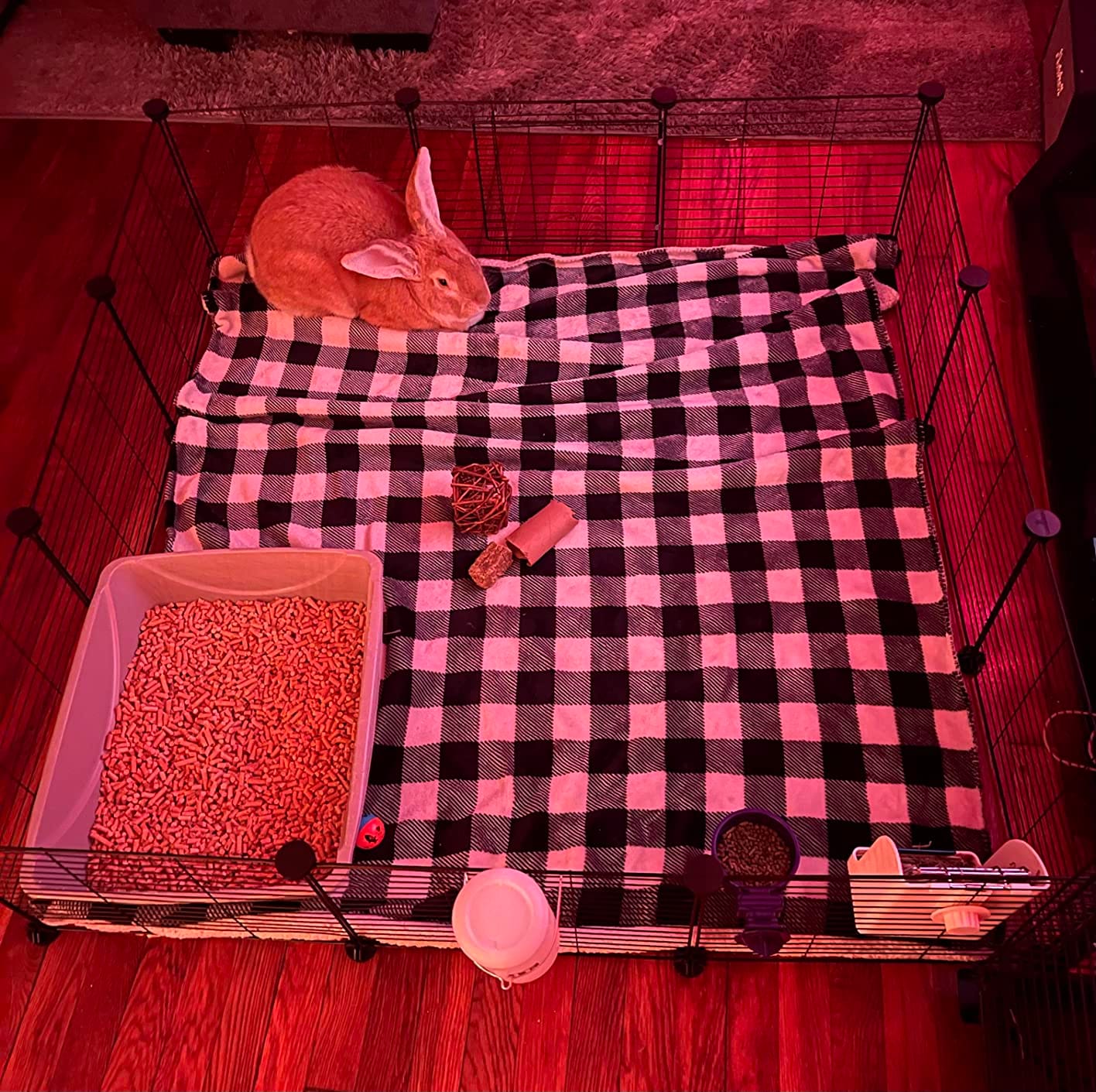 LANGXUN DIY Small Animal Playpen, Pet Playpen with Door and Waterproof Mat, Rabbit Guinea Pig Cages, Puppy Kitten Playpen | Indoor & Outdoor Portable Metal Wire Yard Fence, 12pcs Metal Pet Panels customer photo 2