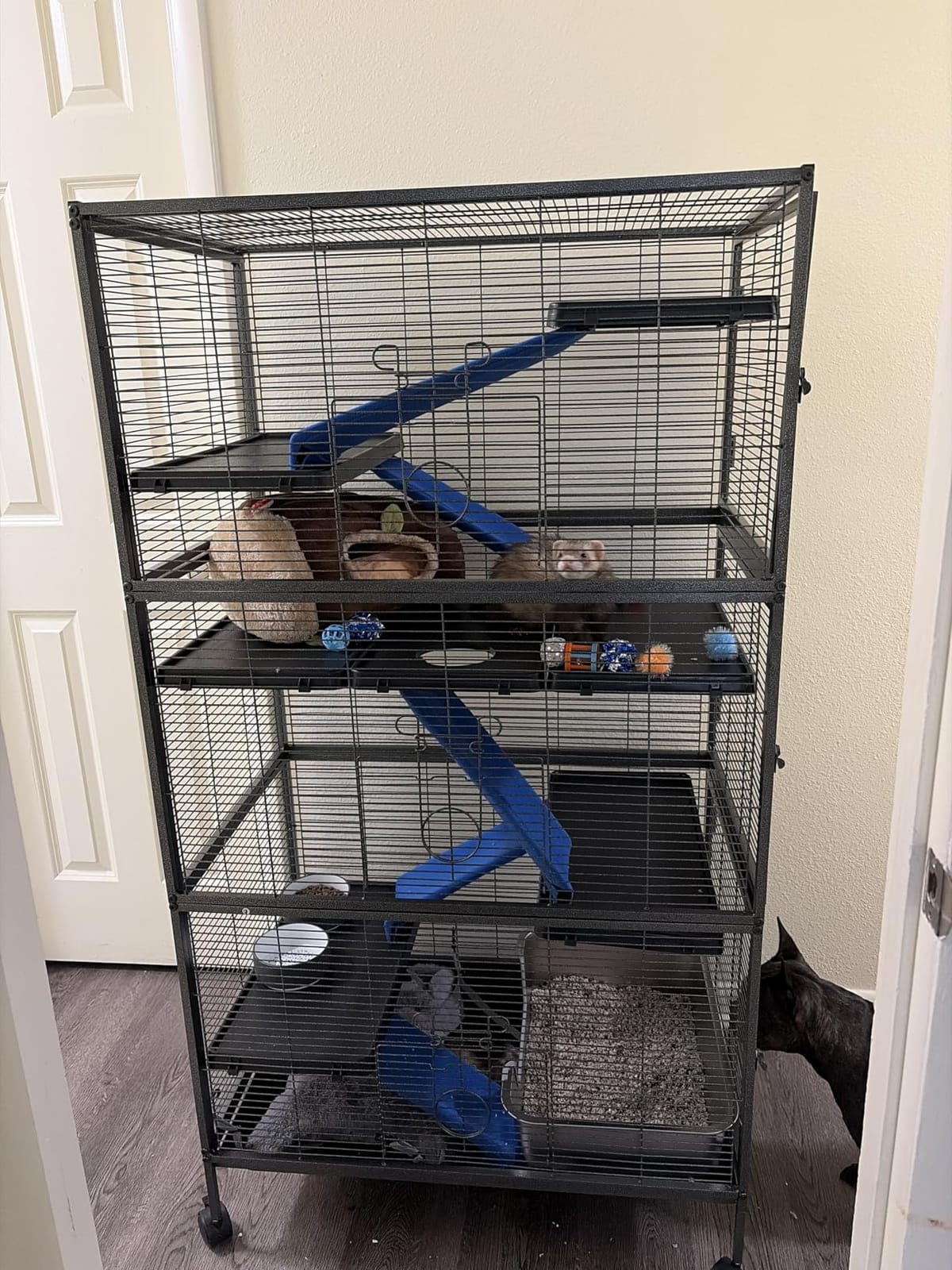 4 Tier Steel Deluxe Small Animal Pet Cage Kit for Guinea Pig Ferret Little Rabbit with Wheels Brakes Hammock 4 Platforms Removable Tray and Ladder with Flannel customer photo 1