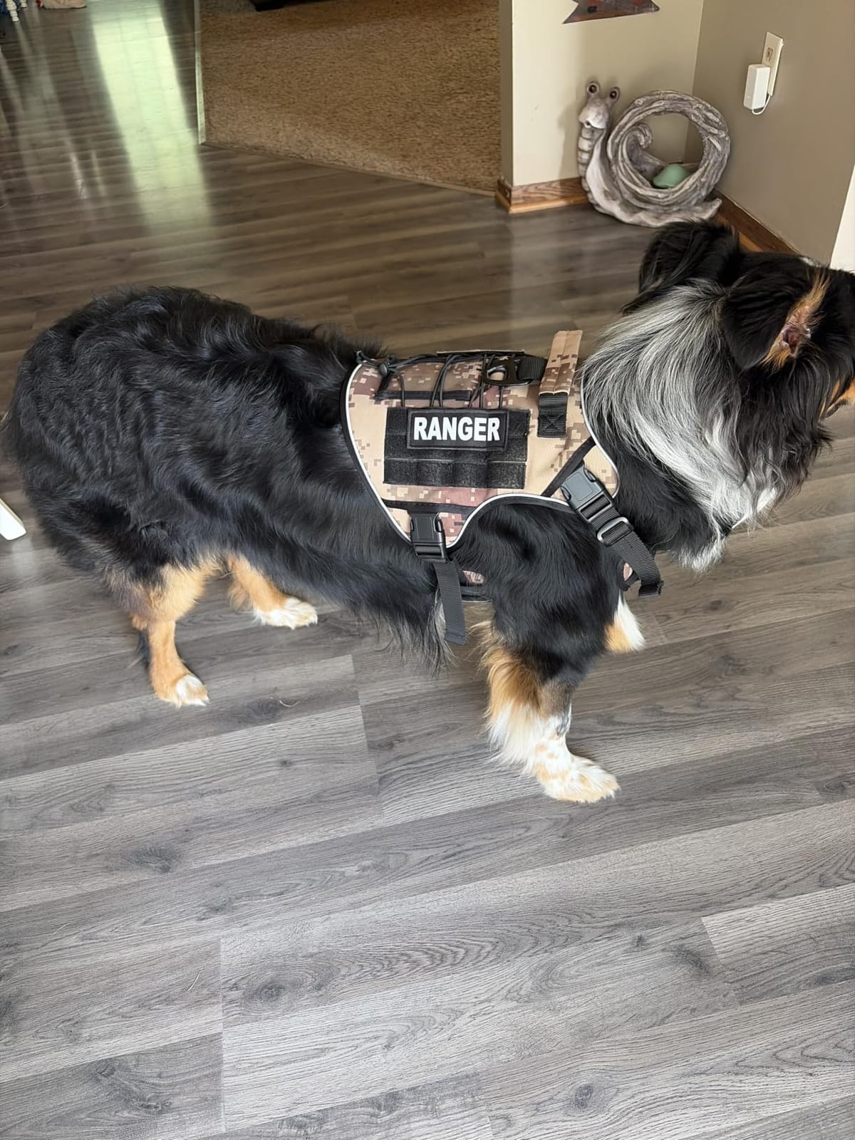 WINGOIN Tactical Dog Harness for Large Dogs,No Pull Heavy Duty Dog Harness customer photo 2