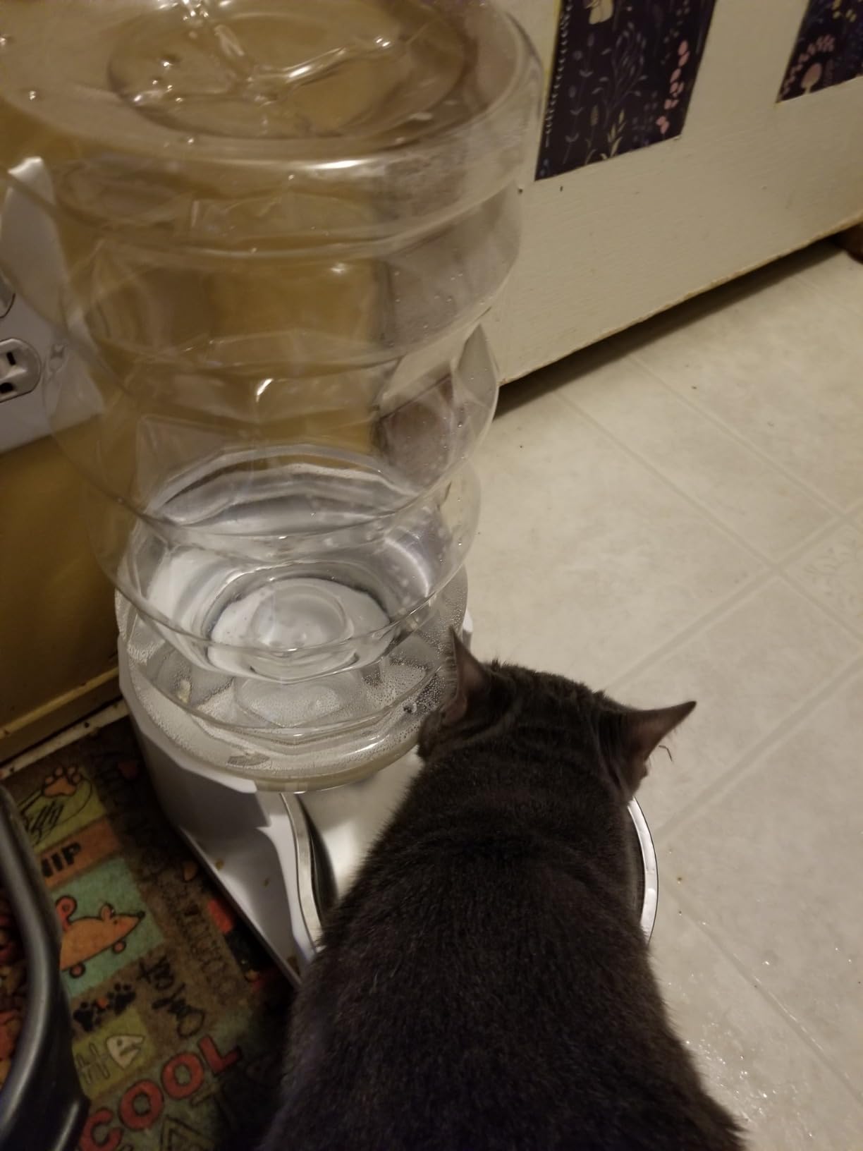 RIZZARI 8L Gravity Dog Water Dispenser: Stainless Steel Bowl Anti-Splash customer photo 2