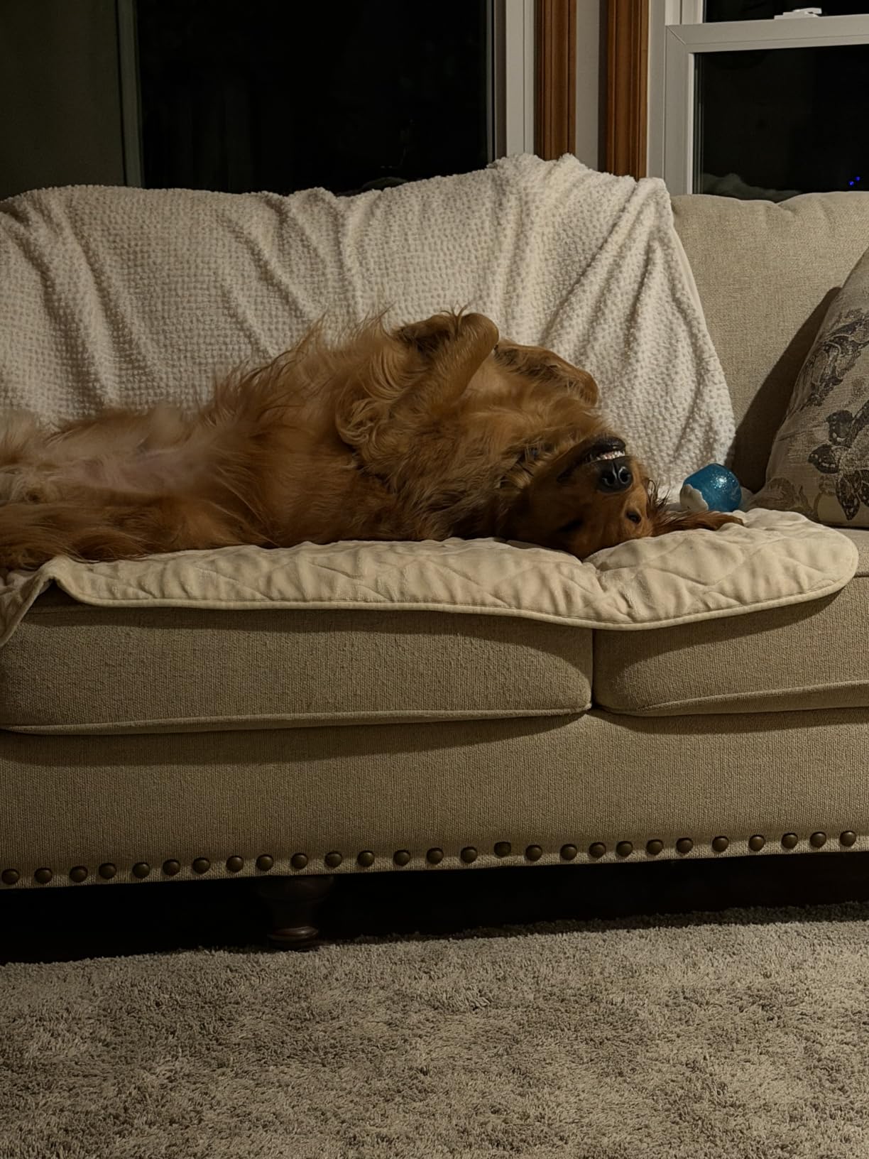 Bedsure Fleece Throw customer photo 1