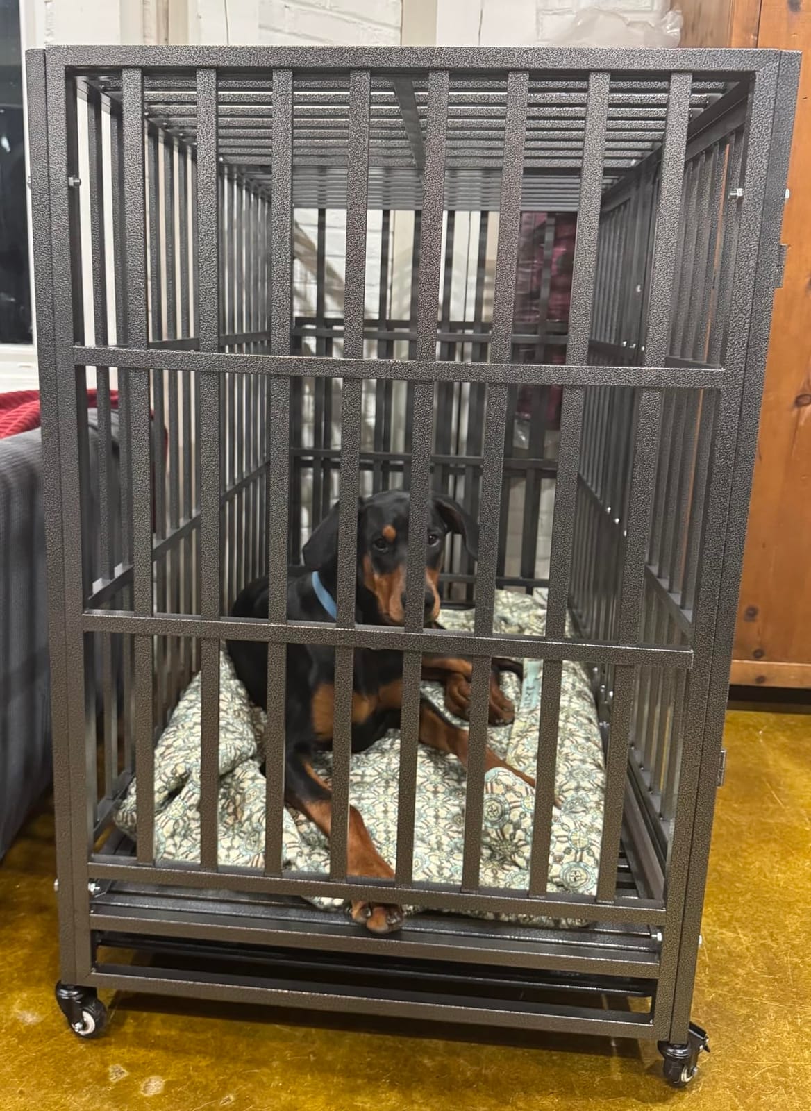 48 Inch Heavy Duty Dog Crate Kennel with Wheels, High Anxiety Indestructible Dog Crates for Large Dogs, XL XXL Extra Large Dog Crate with Removable Plastic Tray, Two Locks (Black, Square) customer photo 2