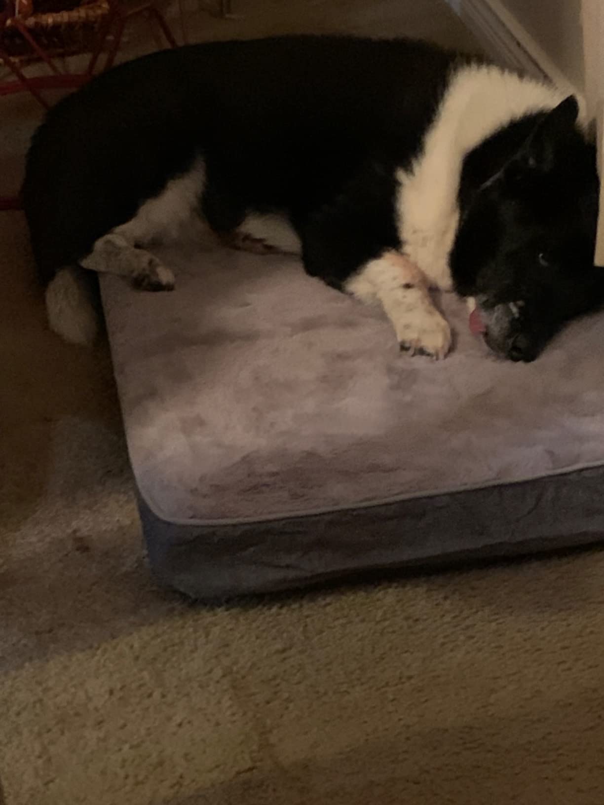Orthopedic Memory Foam Dog Bed for Large Dogs, Cooling Gel Dog Crate Mat with Removable Washable Cover & Non-Slip Bottom, Ideal for Arthritic Dogs Up to 90lbs (Grey, X-Large: 41