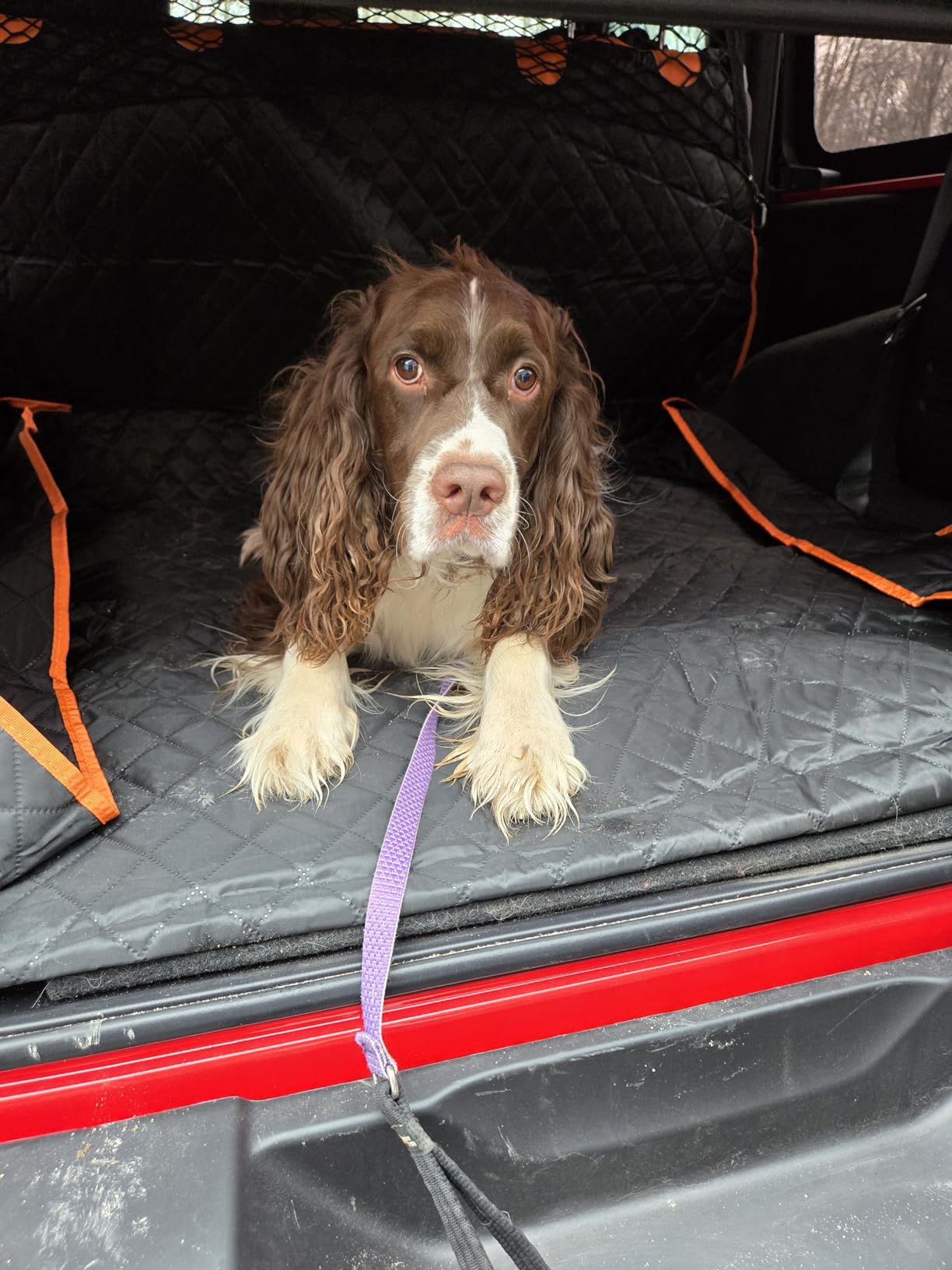 MIXJOY SUV Cargo Liner for Dogs - Trunk Cover with Bumper Flap Protector customer photo 1