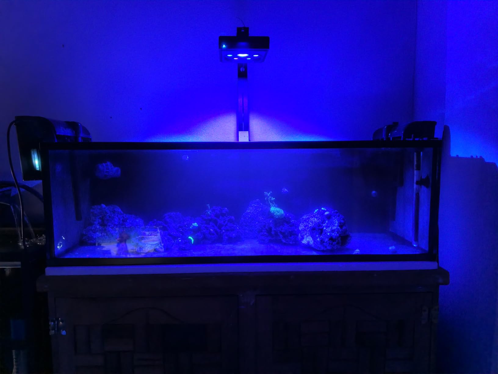 60W LED Reef Light for Saltwater Aquariums Programmable Control customer photo 1