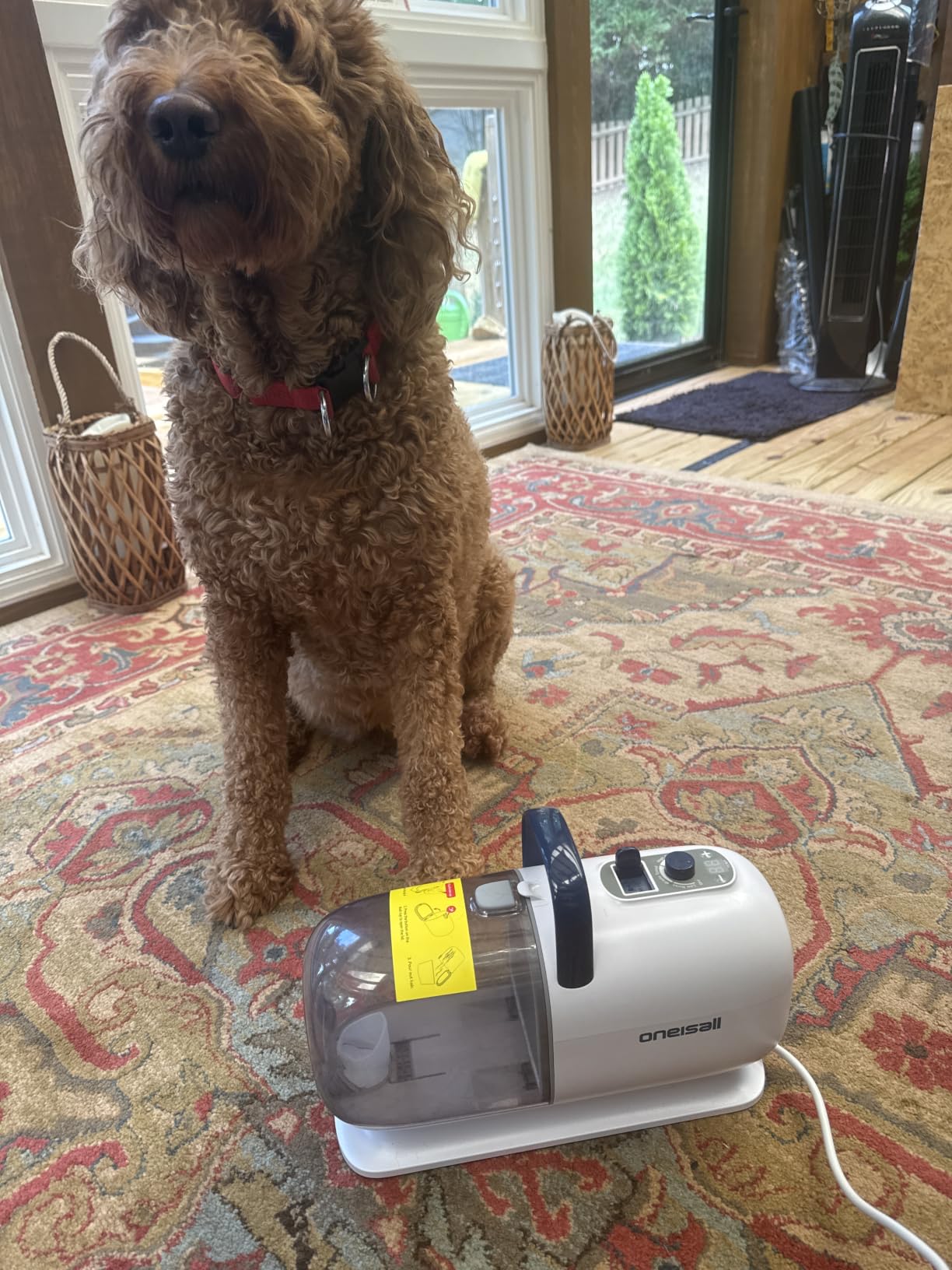 oneisall 8-in-1 Dog Grooming Vacuum & Dryer for Shedding/Drying/Trimming customer photo 1