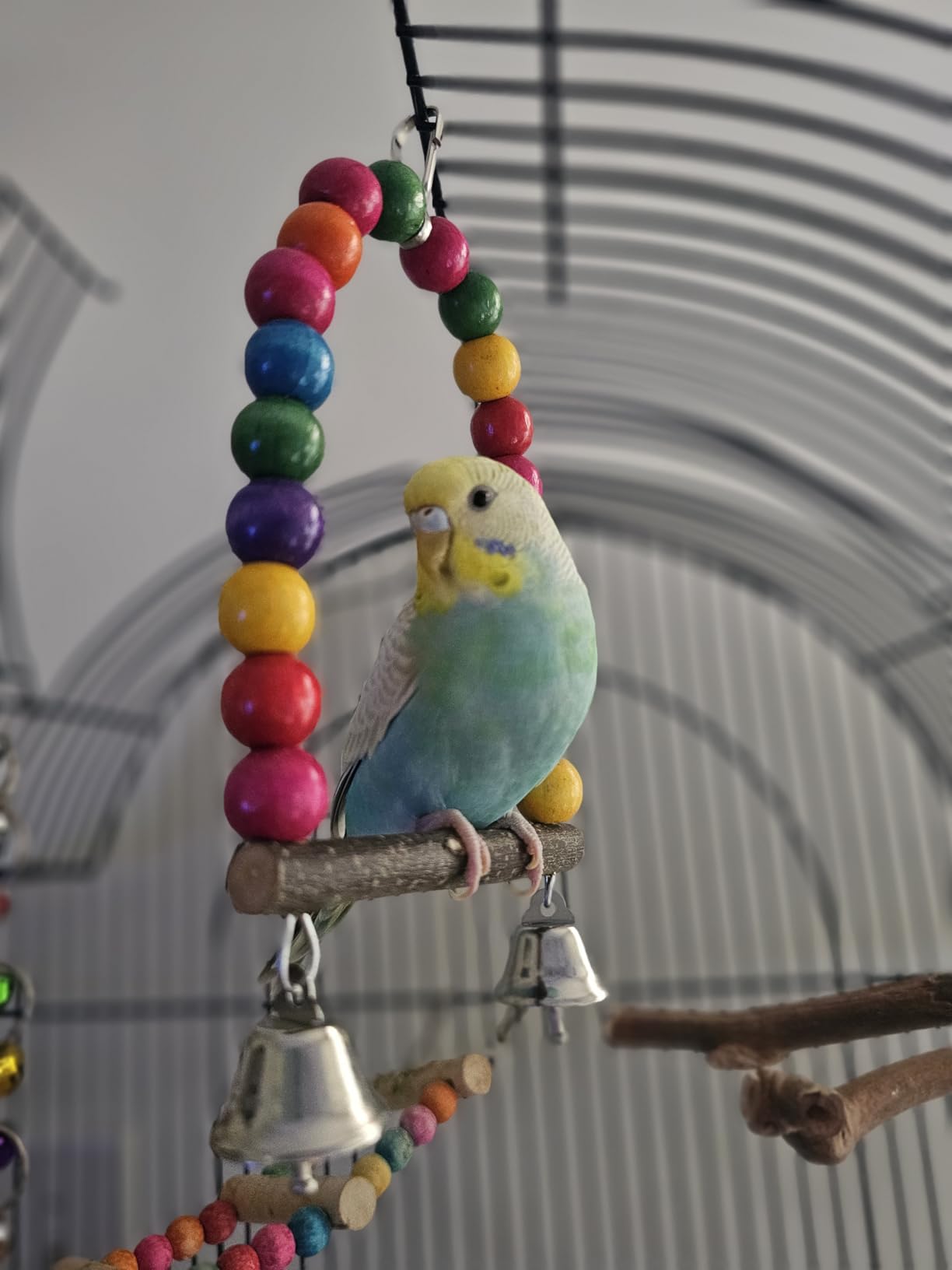 Bird Perch Bird Toys Parakeet Toys,Bird Cage Accessories Wooden Chew Toys Perch Stand for Parrot Conure Cockatiel Lovebird Parrotlet Budgie Finches and Other Small to Medium Sized Birds customer photo 1