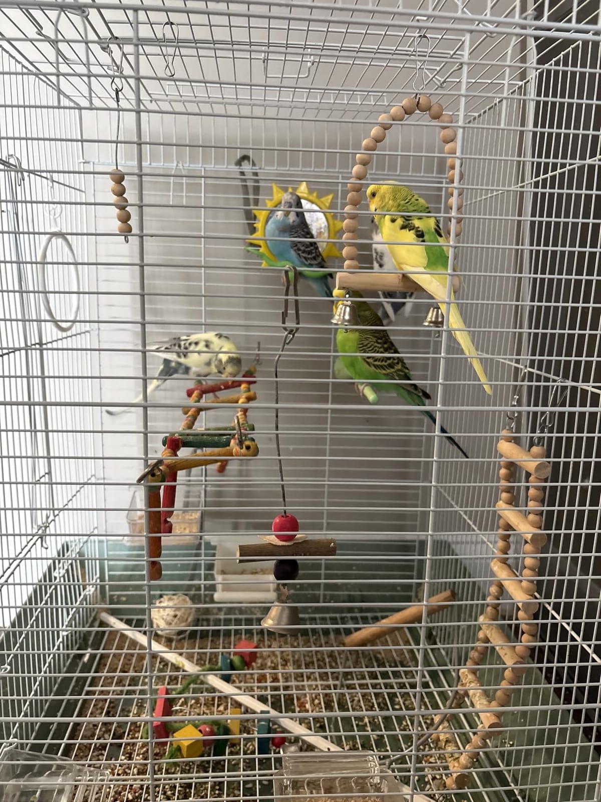 Bird Perch Bird Toys Parakeet Toys,Bird Cage Accessories Wooden Chew Toys Perch Stand for Parrot Conure Cockatiel Lovebird Parrotlet Budgie Finches and Other Small to Medium Sized Birds customer photo 2