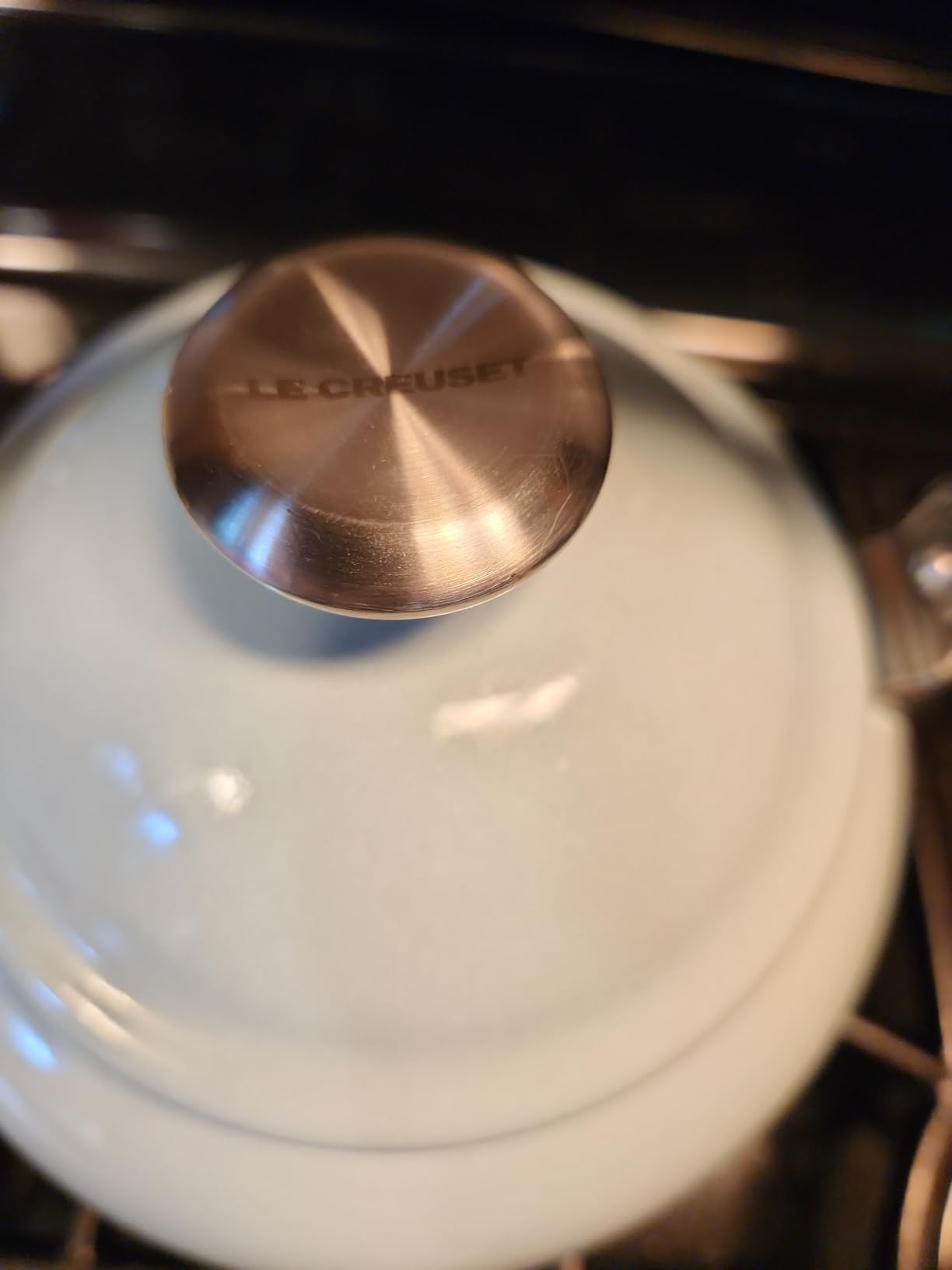 Le Creuset Enamel On Steel Demi Tea Kettle, 1.25 qt., Sea Salt customer photo 2