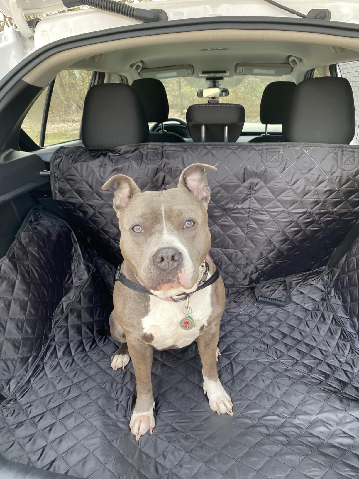 SUV Cargo Liner for Dog Car Seat Cover for Pet Dogs Waterproof Cargo Cover Dog Seat Mat for SUVs Sedans Vans with Bumper Flap Protector, Non-Slip, Black 70