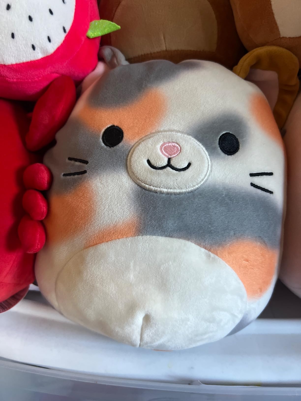 Squishmallows Original 8-Inch Olma Strawberry Cat - Official Jazwares Plush customer photo 1