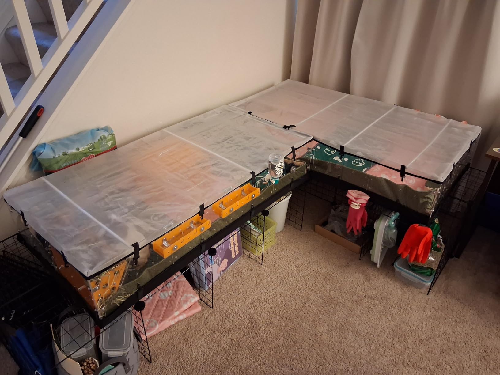 GuineaLoft™ Model-A Acrylic Guinea Pig Cage - Large 4x2ft Expandable C&C customer photo 2