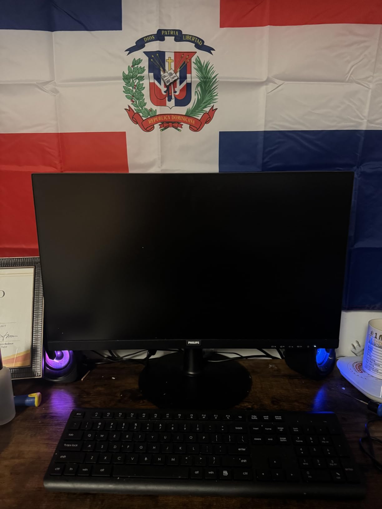 Philips 241V8LB 24 customer photo 2