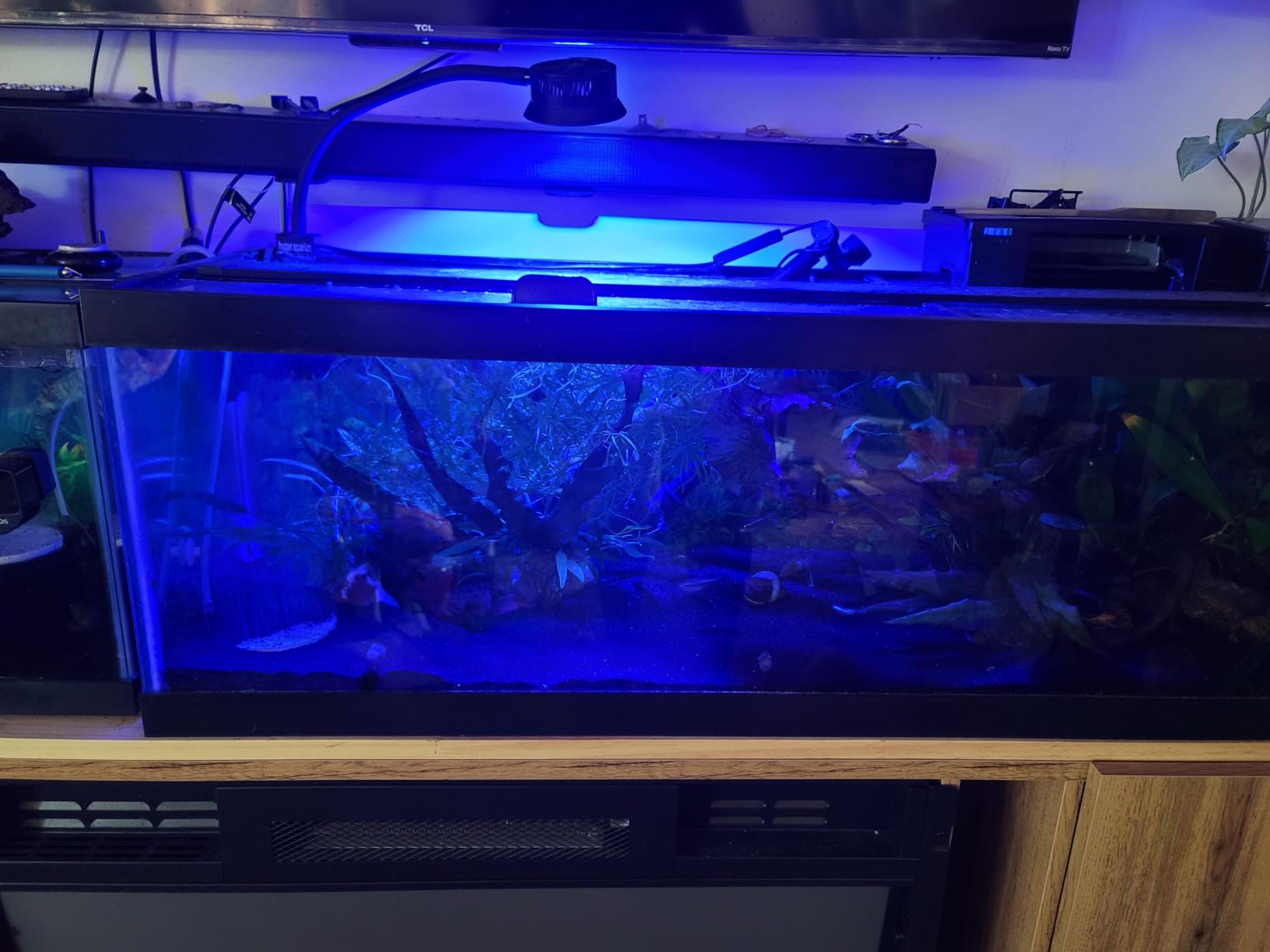 hygger 30 Watts Aquarium LED Reef Light, Dimmable Full Spectrum Marine LED Fish Tank Light Saltwater Nano Aquarium LPS SPS Lighting customer photo 1