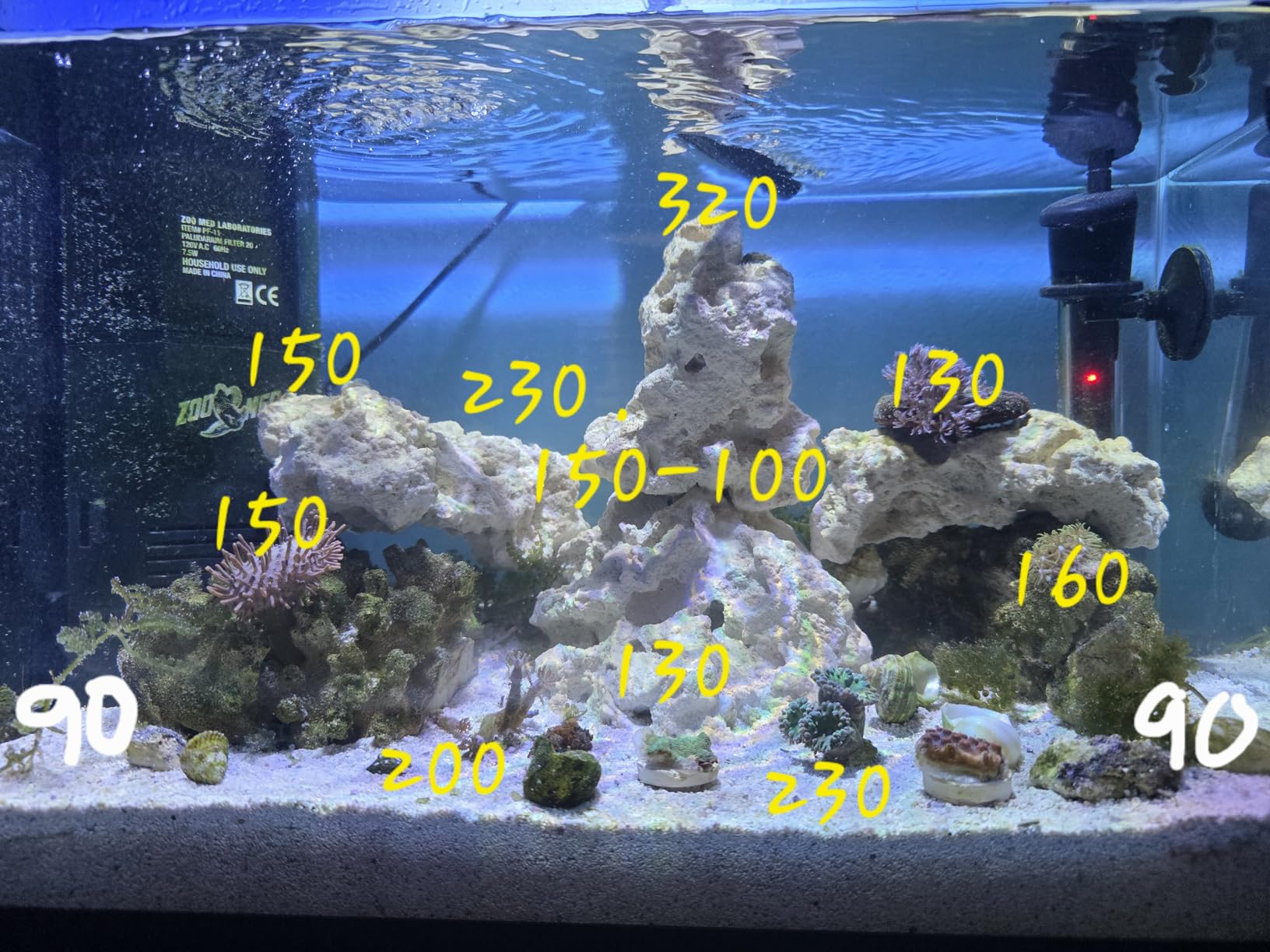 hygger 30 Watts Aquarium LED Reef Light, Dimmable Full Spectrum Marine LED Fish Tank Light Saltwater Nano Aquarium LPS SPS Lighting customer photo 2