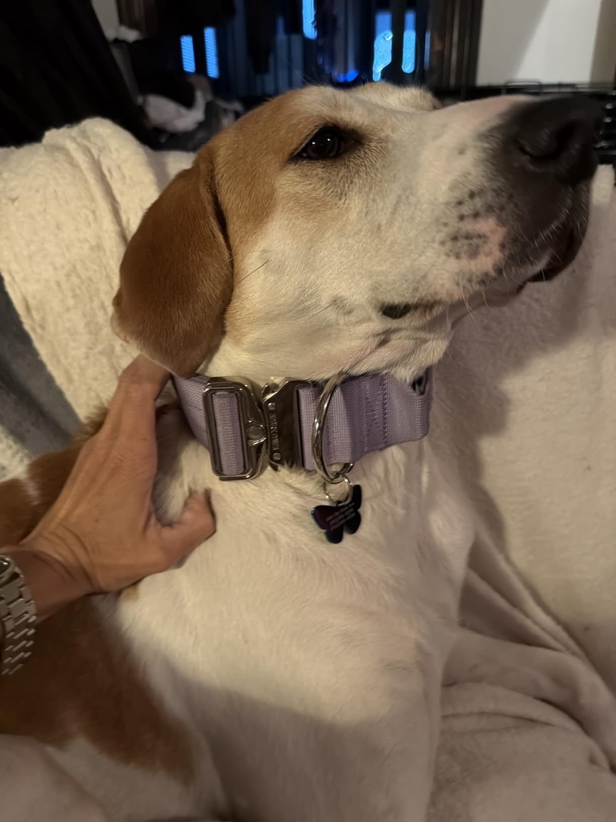 Spark Paws Tactical Large Dog Collar w/Handle - Thick & Wide, Heavy Duty customer photo 1