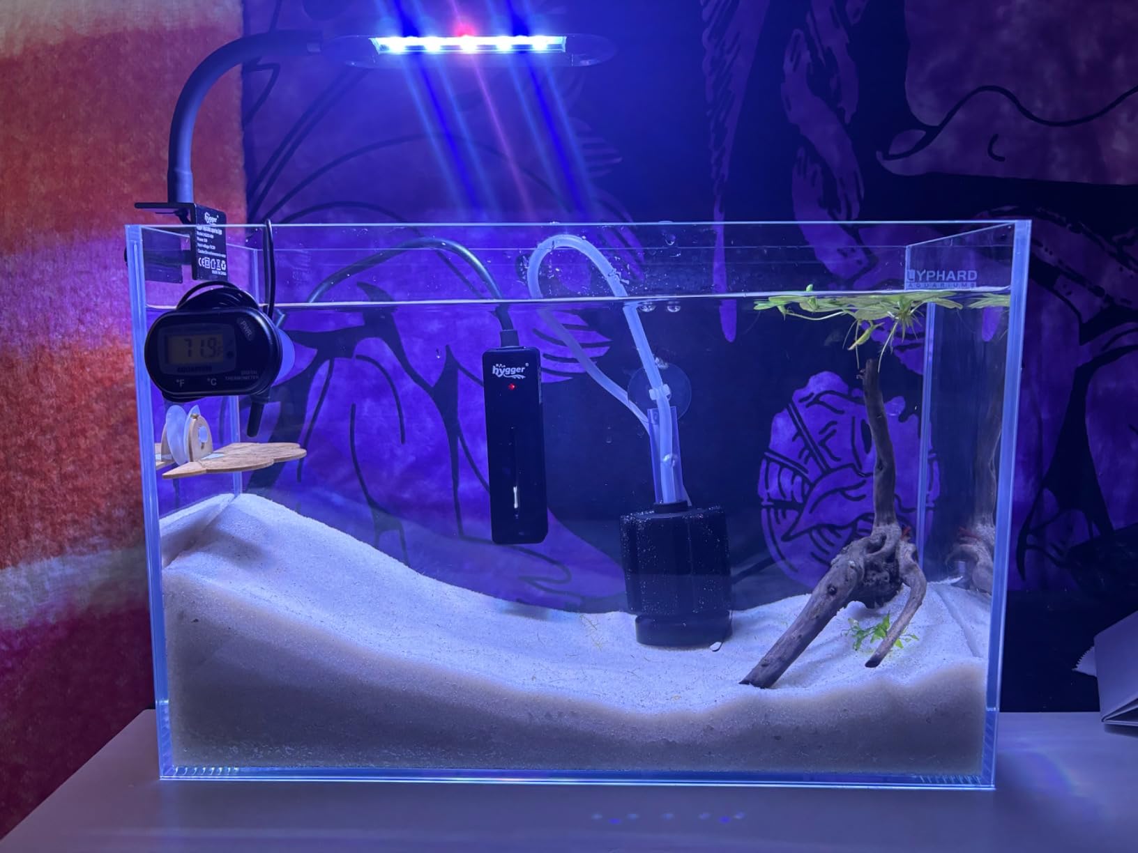LYPHARD AQUARIUMS 9.5 Gallon Rimless Aquarium, Ultra Clear Glass Low Iron Small Fish Tank for Betta, L15.7×W11.8×H11.8 Inches Thickness 5mm with EVA Foam Mat Included customer photo 1