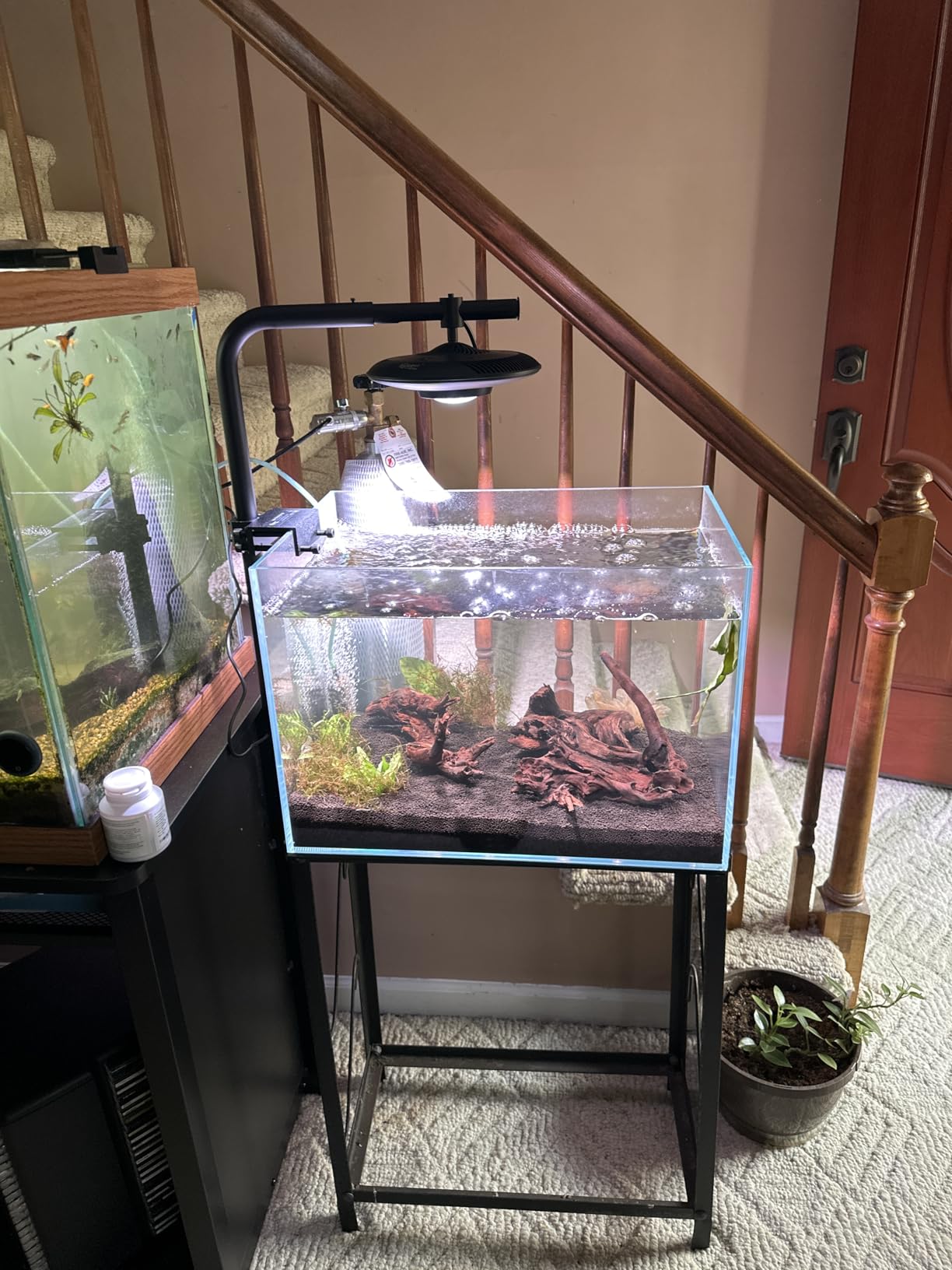 LYPHARD AQUARIUMS 9.5 Gallon Rimless Aquarium, Ultra Clear Glass Low Iron Small Fish Tank for Betta, L15.7×W11.8×H11.8 Inches Thickness 5mm with EVA Foam Mat Included customer photo 2