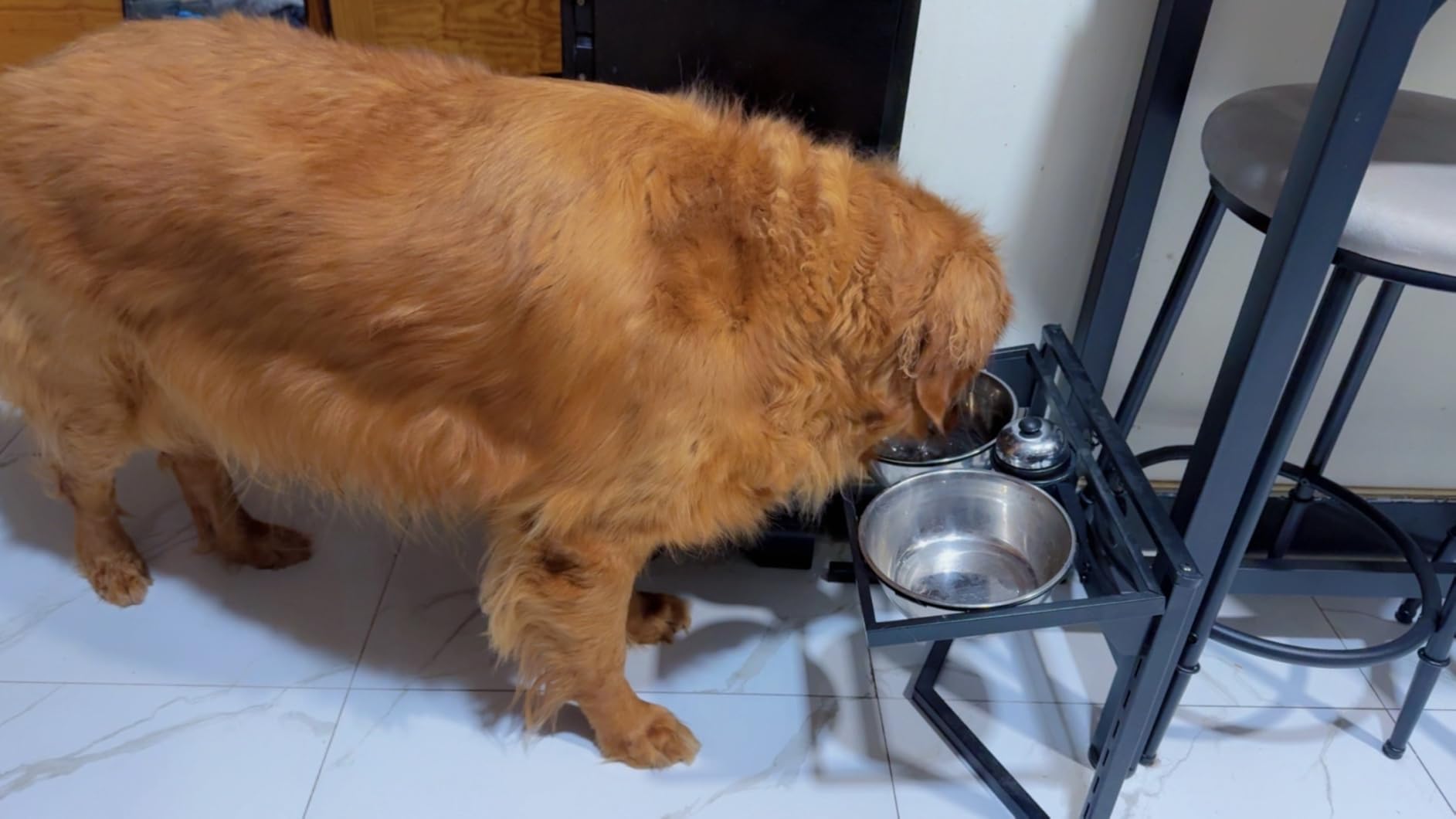 Grand Line Elevated Dog Bowls - 7 Height Adjustable, 10 Tilted Raised Stand With Spill Proof Mat, Two 1.5L Stainless Steel Food Water Bowls for Large Medium Small Dogs (15.4