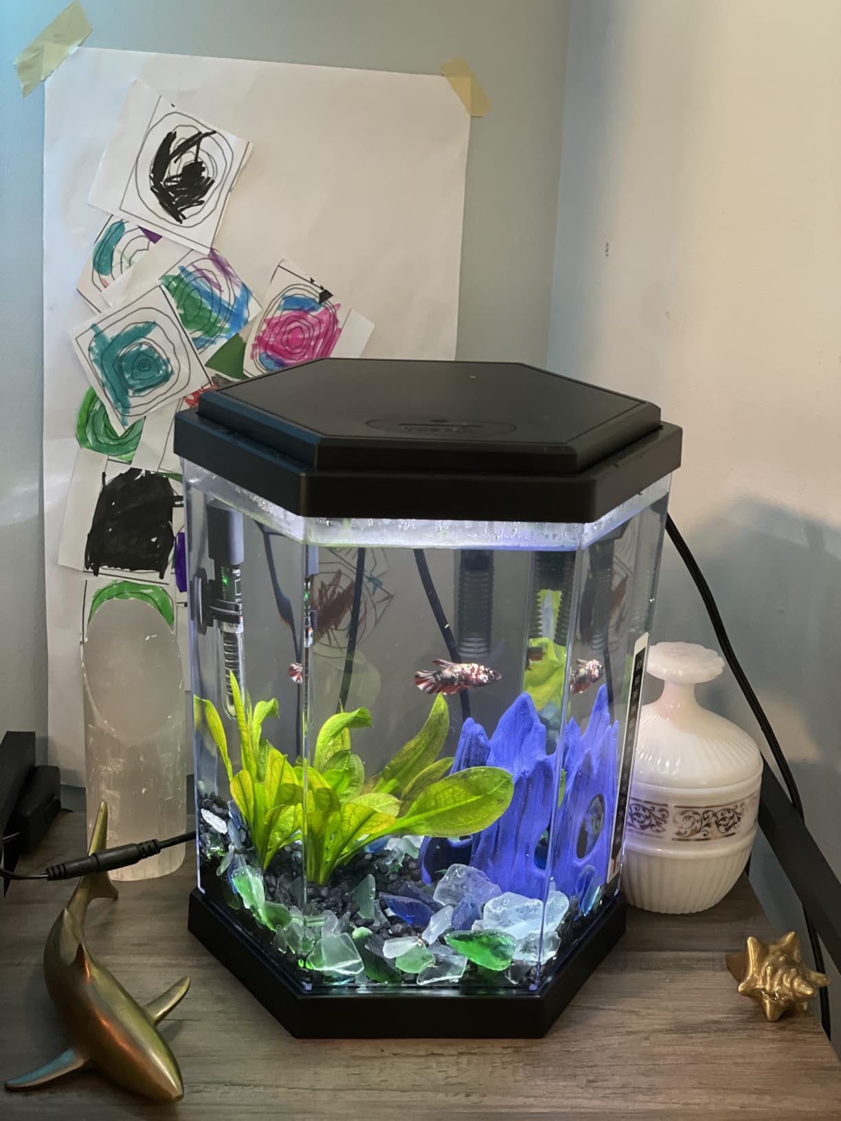 FREESEA Aquarium Fish Tank Heater: 25W Small Betta Turtle Heating customer photo 1