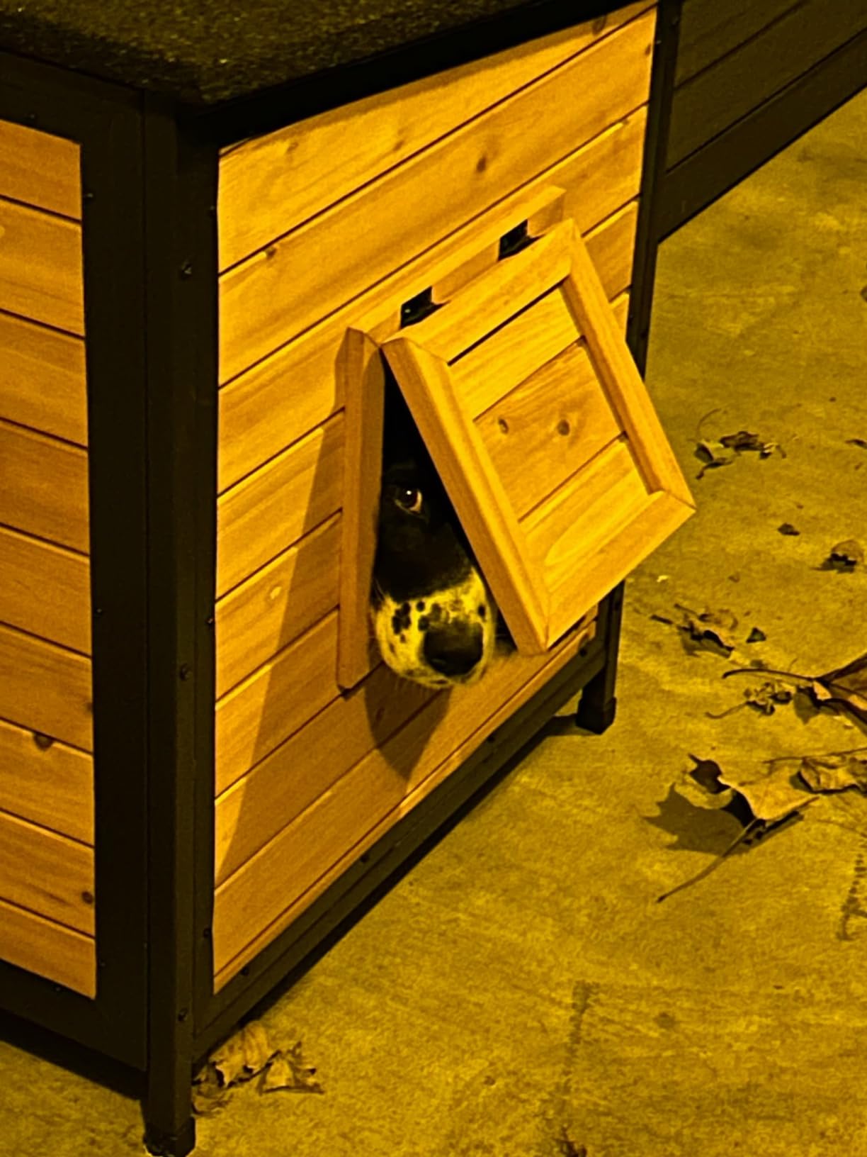 Outdoor Insulated Wooden Dog House Weatherproof Chew Resistant Metal Frame customer photo 2