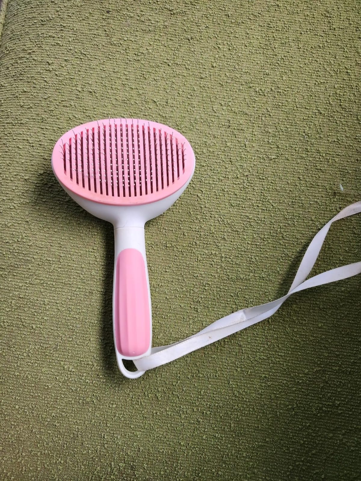 5 Pack Flea Lice Comb,Stainless Steel Dog Cat Grooming Combs with Rounded Teeth,Double Sided Professional Pet Tear Stain Remover,Dematting Tool for Small, Ideal for all pet customer photo 1