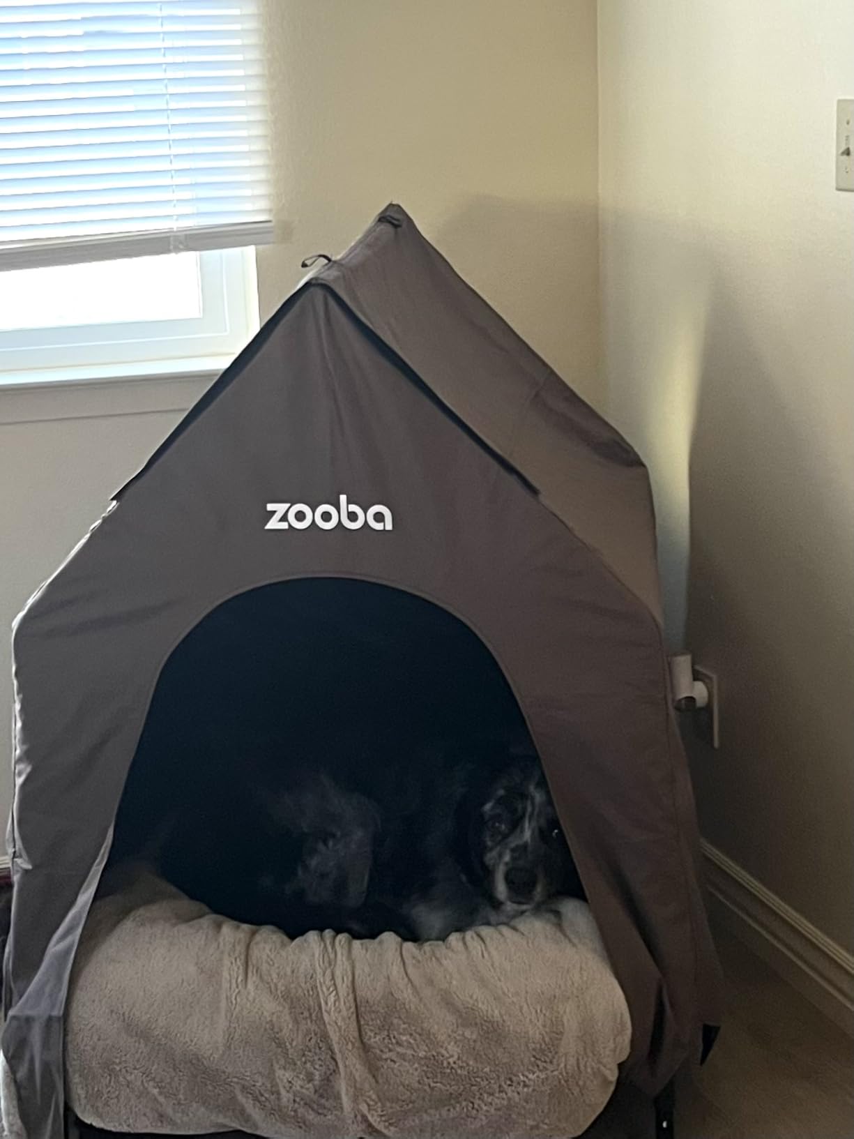 Zooba 48