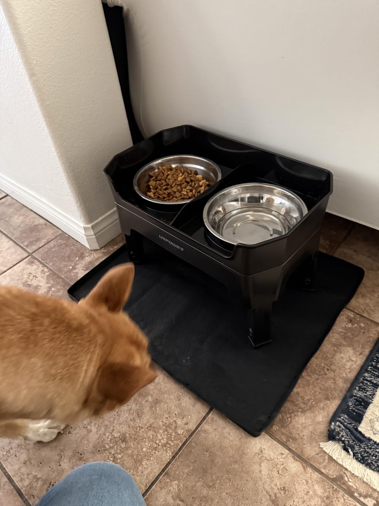 URPOWER Elevated Dog Bowls, 3-in-1 Double Deck Raised Dog Bowl Stand customer photo 2