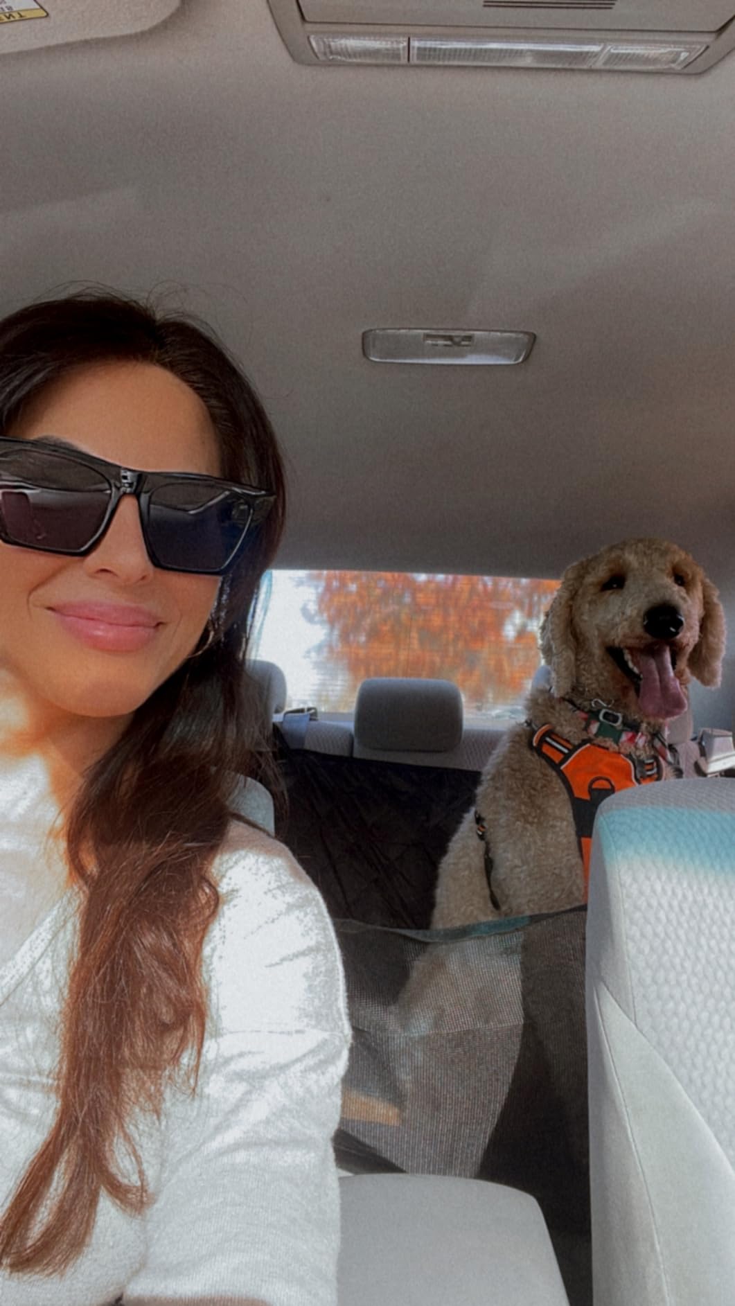 Waterproof Hard Bottom Car Seat Cover for Dogs with 2 Dog Seat Belts customer photo 1