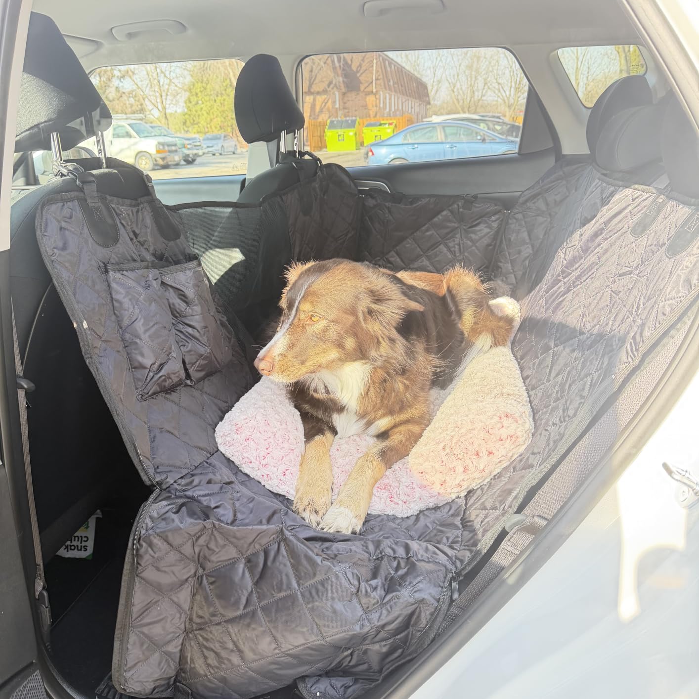 Waterproof Hard Bottom Car Seat Cover for Dogs with 2 Dog Seat Belts customer photo 2