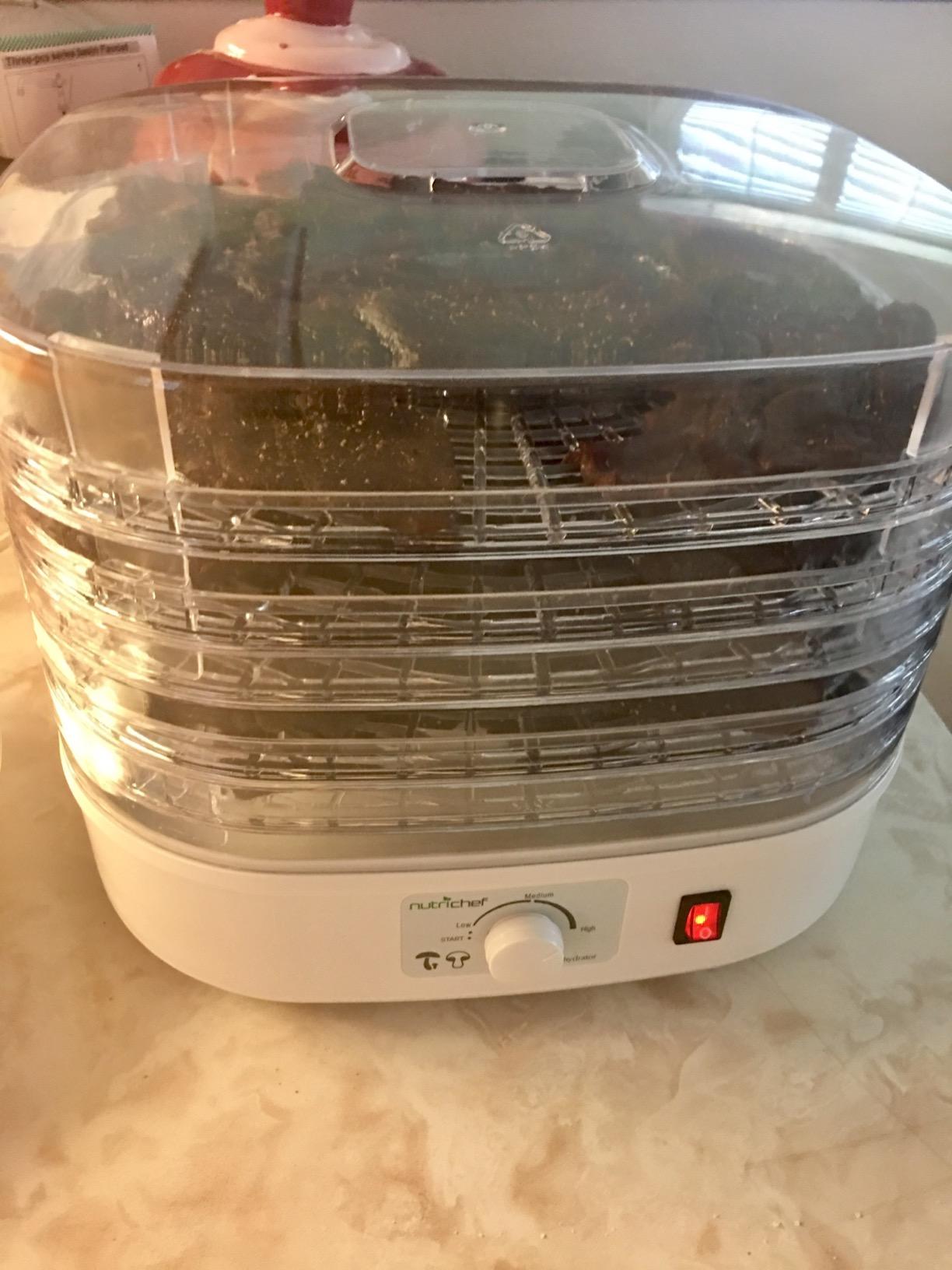 Nutrichef Electric Countertop Food Dehydrator | Professional Multi-Tier Food Preserver | Dehydrate Fish, Beef Jerky, Meats, Mushrooms, Fruits & Vegetables | 5 Stackable Trays for Easy Cleaning customer photo 1