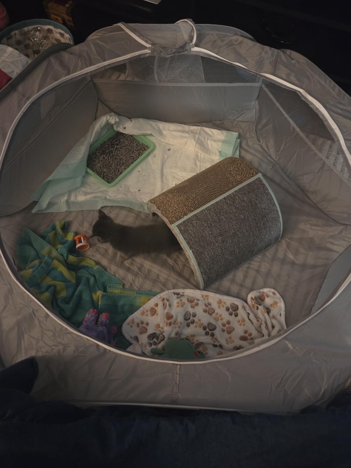 UWE Small Animal Playpen, Waterproof Foldable Pet Playpen, Black customer photo 1