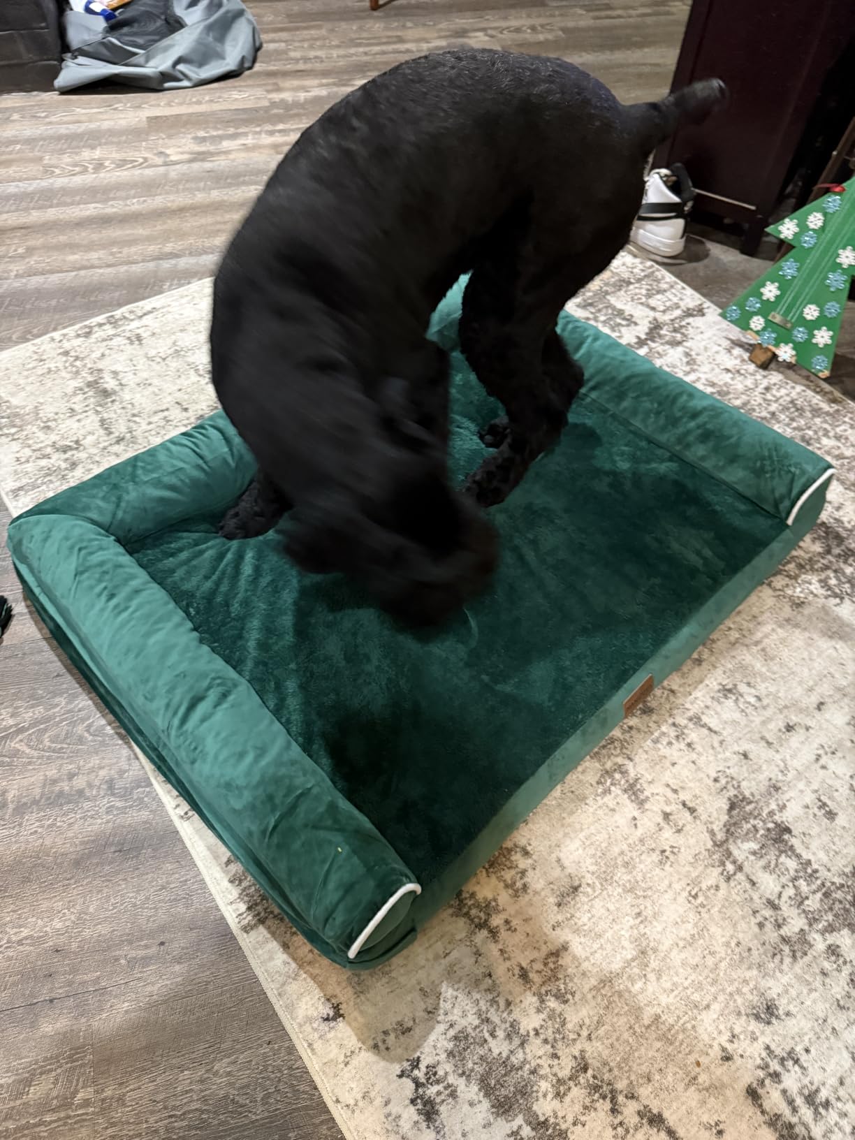 NANUYA Orthopedic Dog Bed for Large Dogs, 36 x 27 Inch, Light Grey customer photo 1