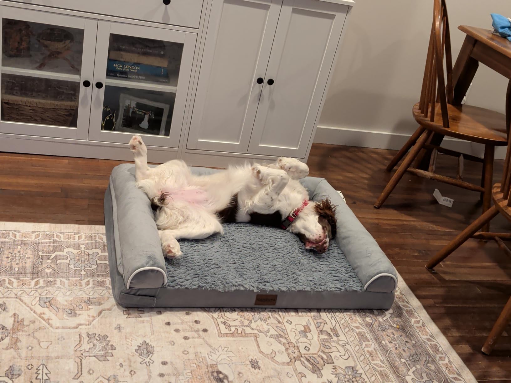 NANUYA Orthopedic Dog Bed for Large Dogs, 36 x 27 Inch, Light Grey customer photo 2